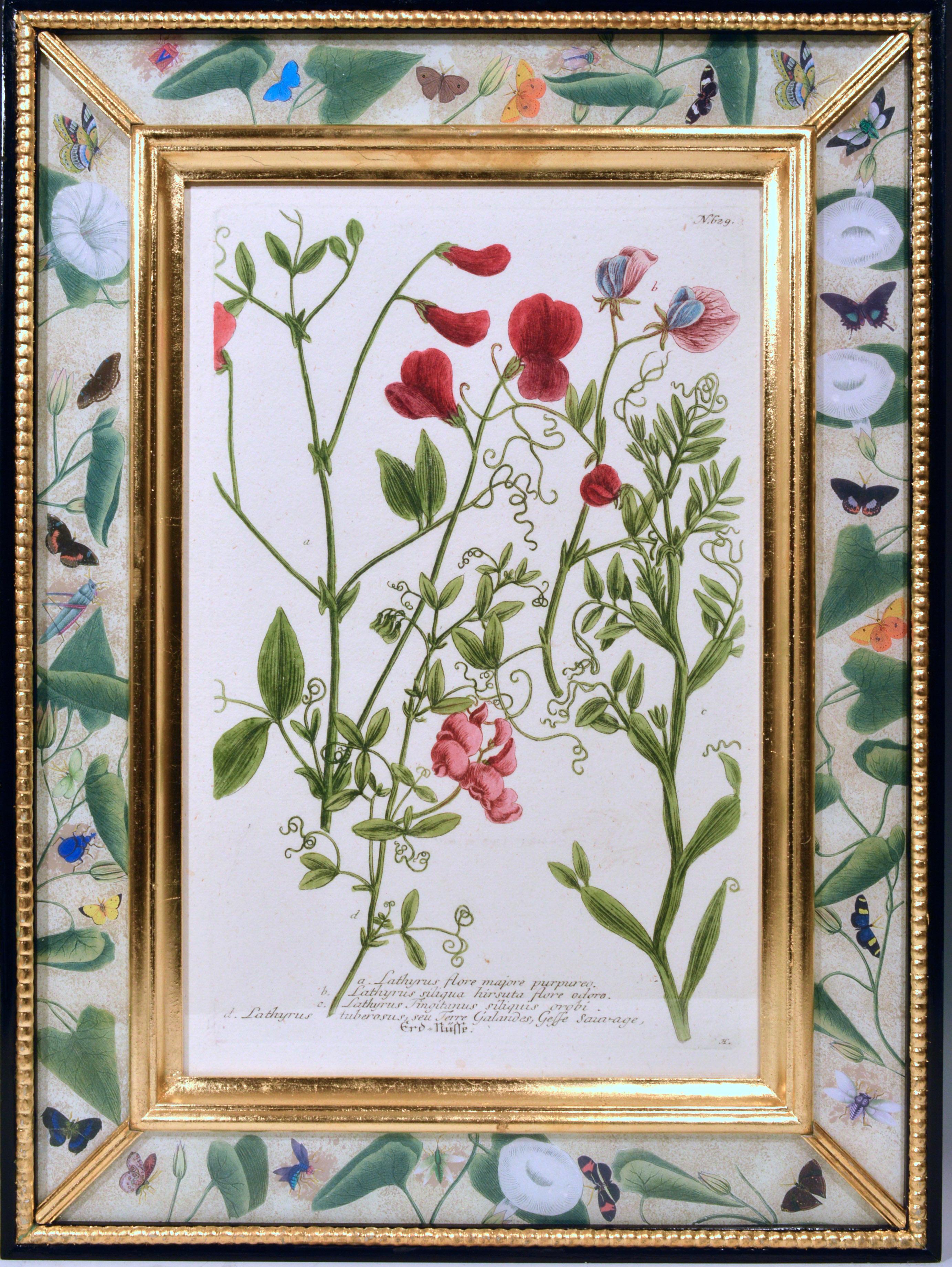 Johann Weinmann Engravings of Flowers, a Set of Twelve, circa 1740 In Good Condition In Downingtown, PA
