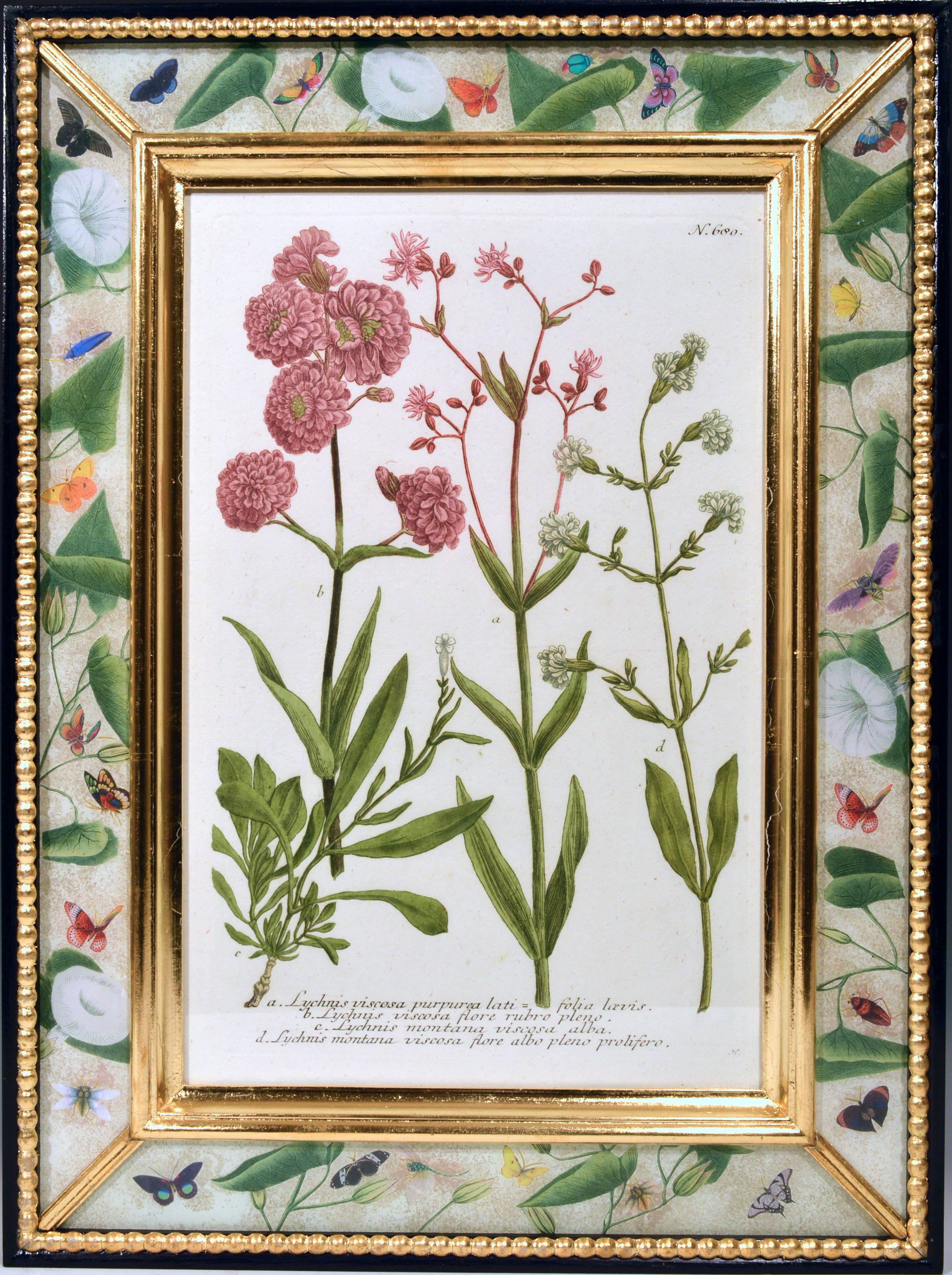 Paper Johann Weinmann Engravings of Flowers, a Set of Twelve, circa 1740