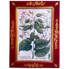 Georgian Prints