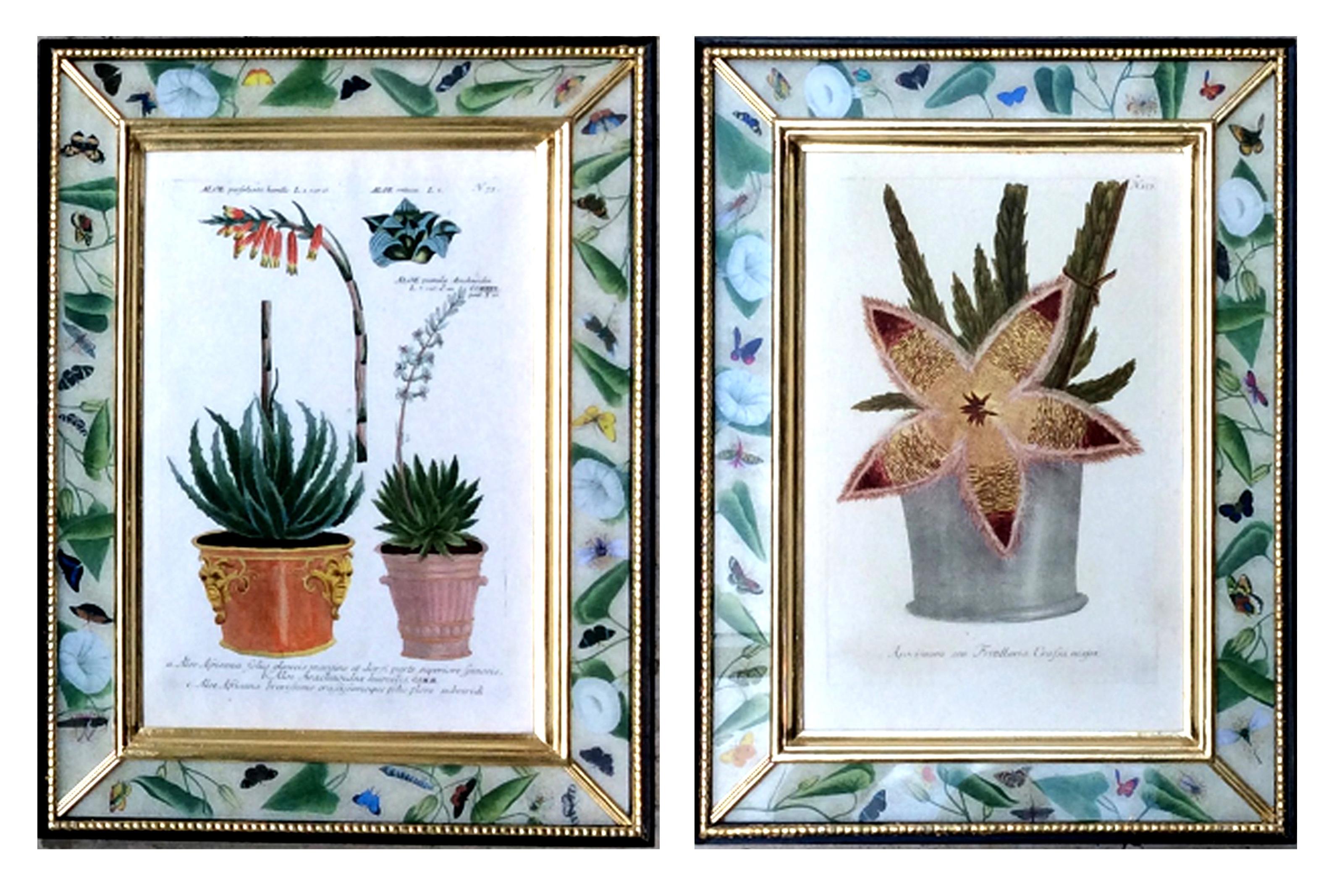 Georgian Johann Weinmann Pair of Botanical Prints with Plants in Pots, Engraved by Ehret