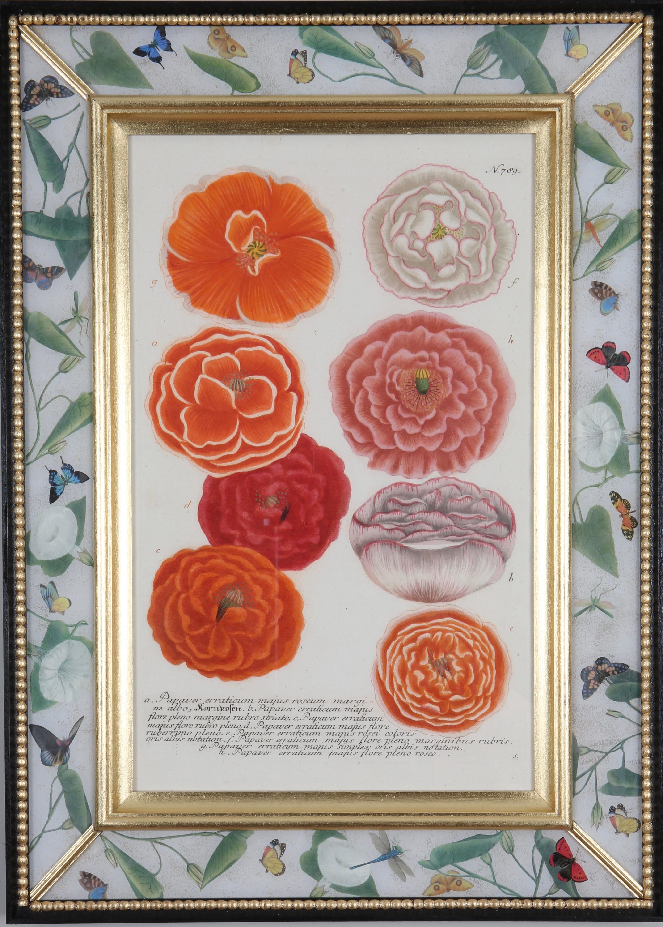 Price is for the set of 12 framed engravings.

Hand-coloured mezzotint engravings from: 