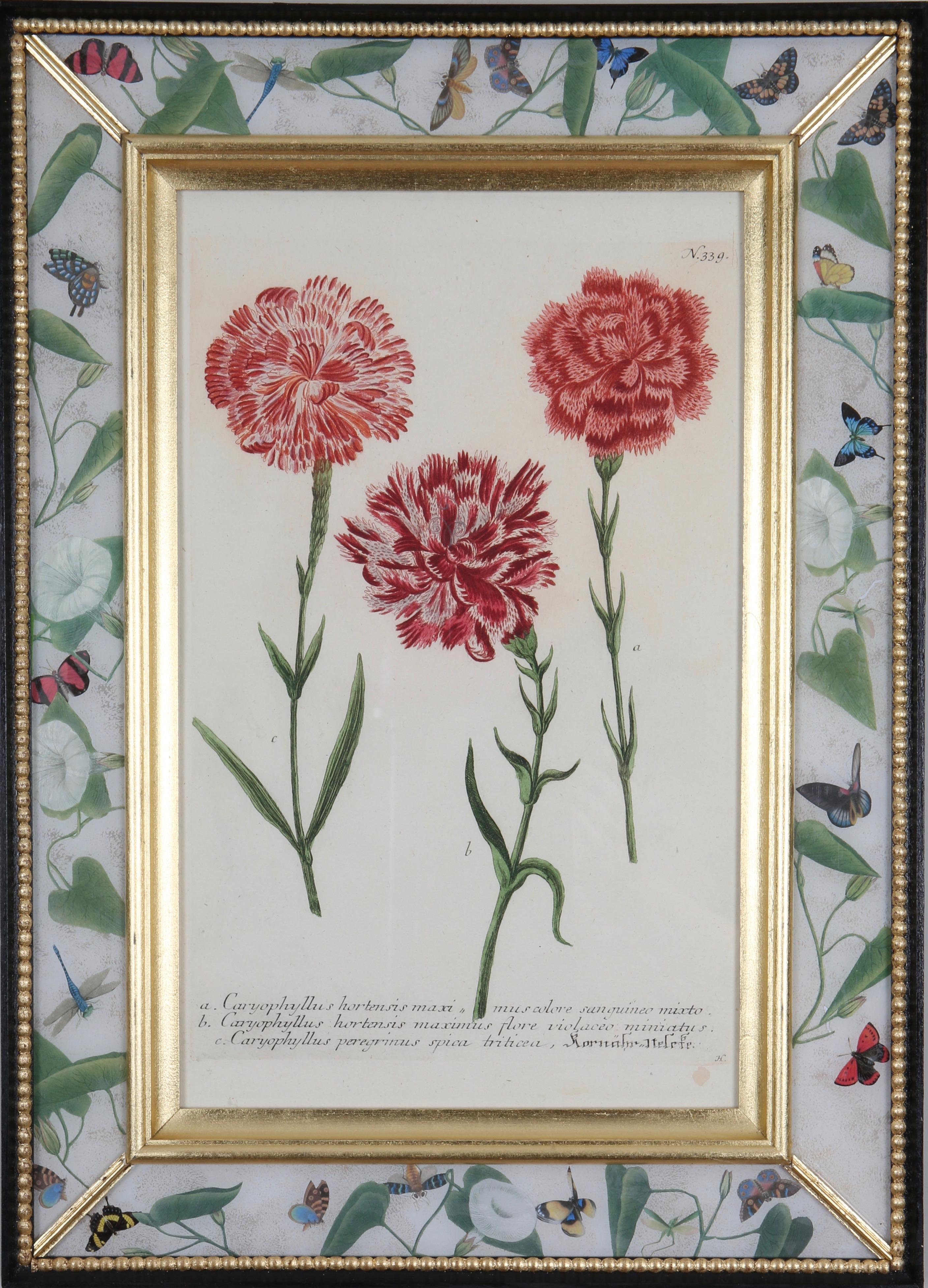 Johann Weinmann: set of 12 mezzotint engravings in decalcomania frames For Sale 1