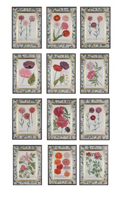 Johann Weinmann: set of 12 mezzotint engravings in decalcomania frames