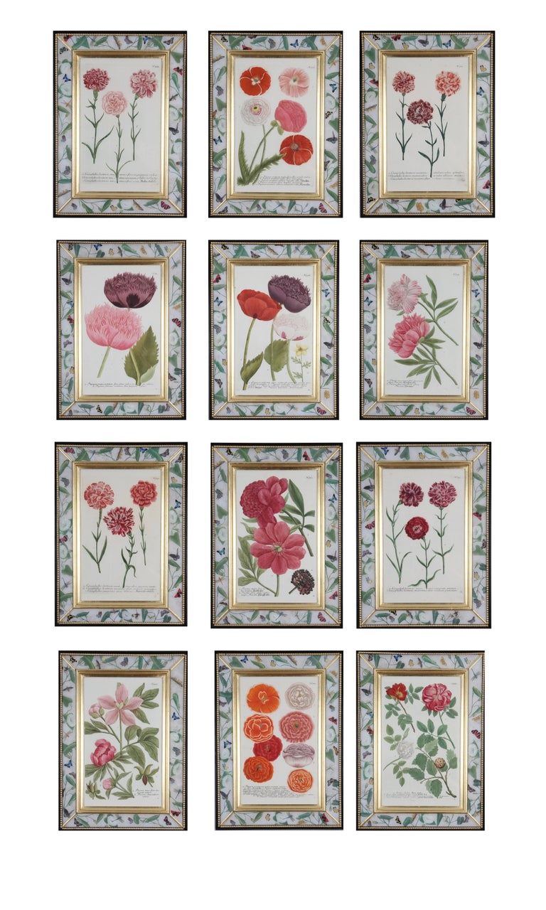 Set of 12 mezzotint engravings in decalcomania frames, ca. 1739, by Johann Weinmann, offered by Dinan & Chighine