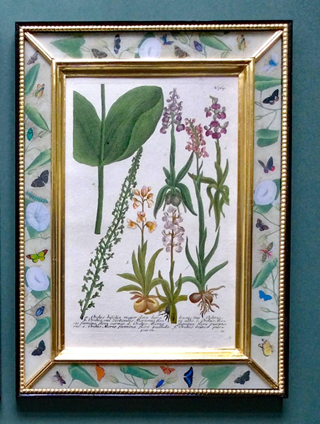 Johann Weinmann Set of 12 Botanical Engravings, circa 1740 In Excellent Condition In Downingtown, PA