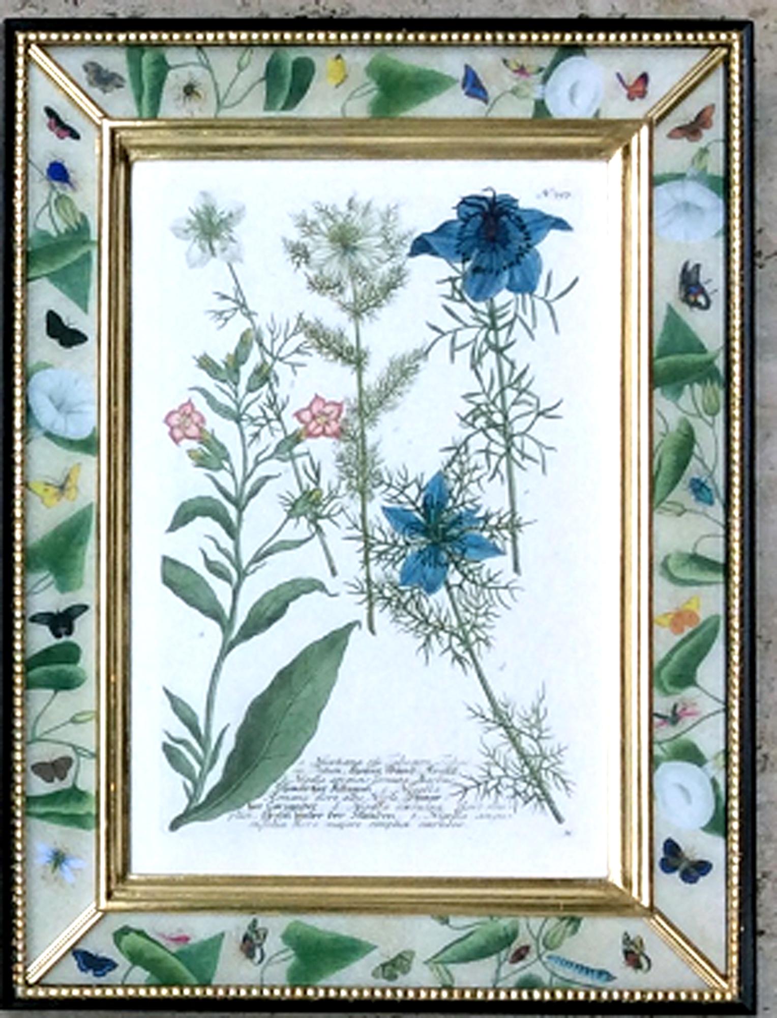 Johann Weinmann Satz von zwölf botanischen Stichen im Angebot 3