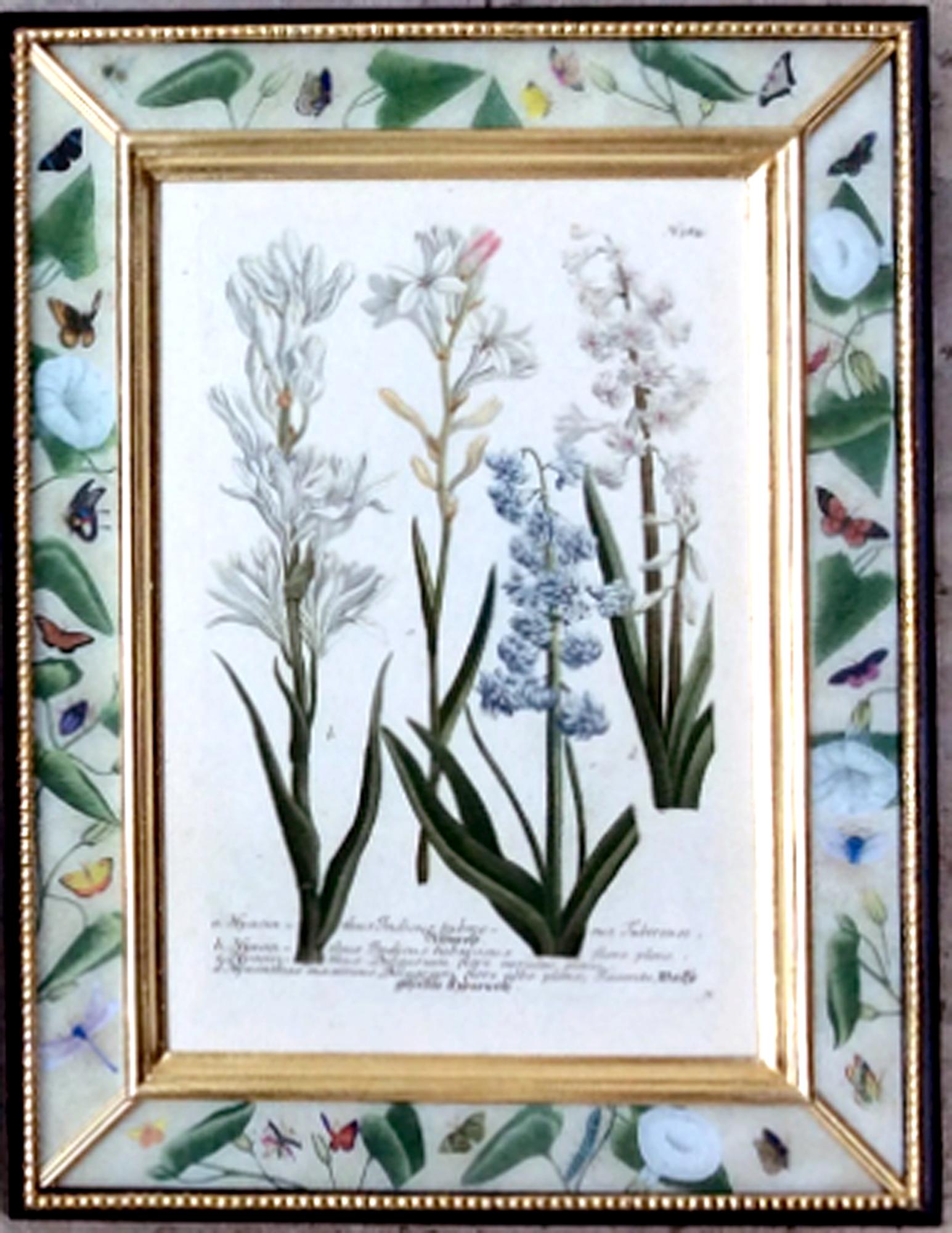 Johann Weinmann Satz von zwölf botanischen Stichen im Angebot 4