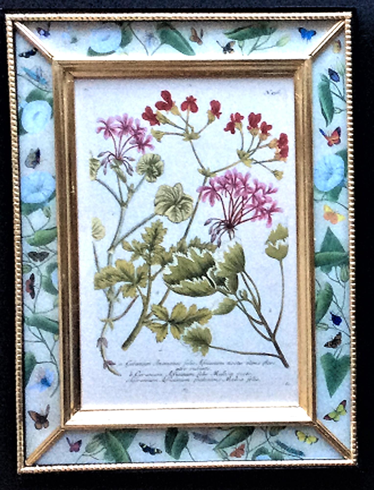 Johann Weinmann Satz von zwölf botanischen Stichen (Deutsch) im Angebot