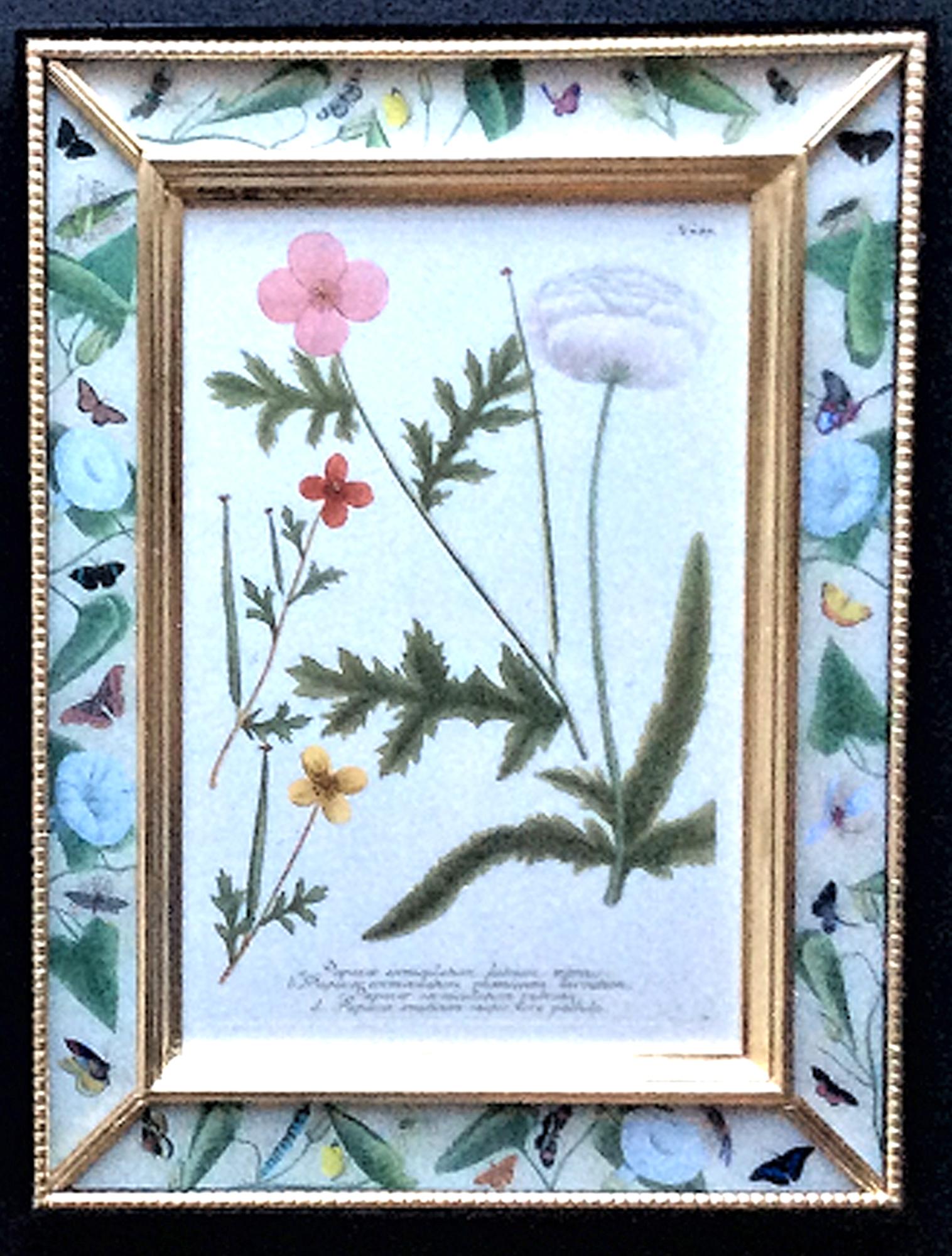 Johann Weinmann Satz von zwölf botanischen Stichen im Zustand „Gut“ im Angebot in Downingtown, PA