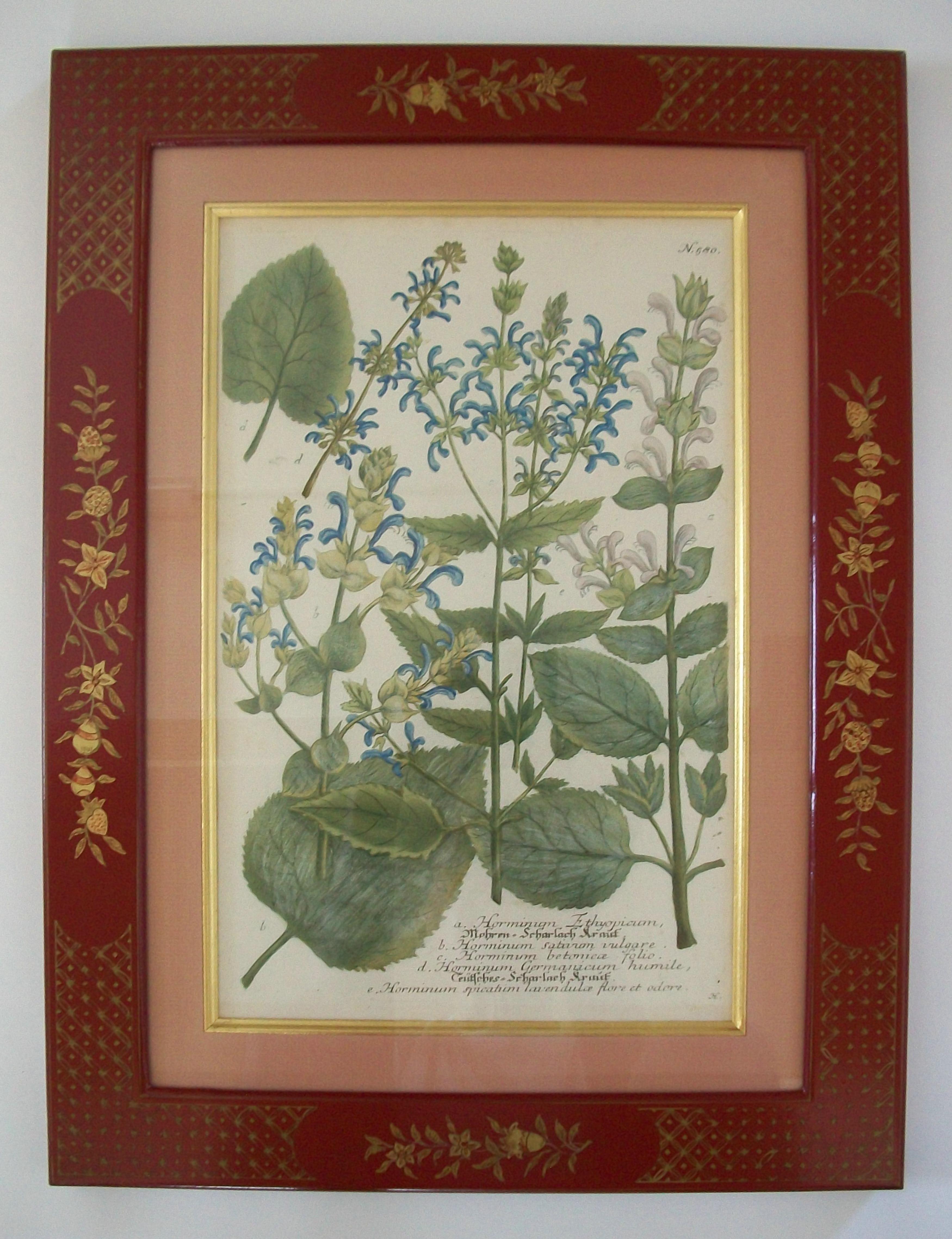 JOHANN WEINMANN - Sechs handkolorierte botanische Stiche - Deutschland - ca. 1737-1745 im Angebot 3