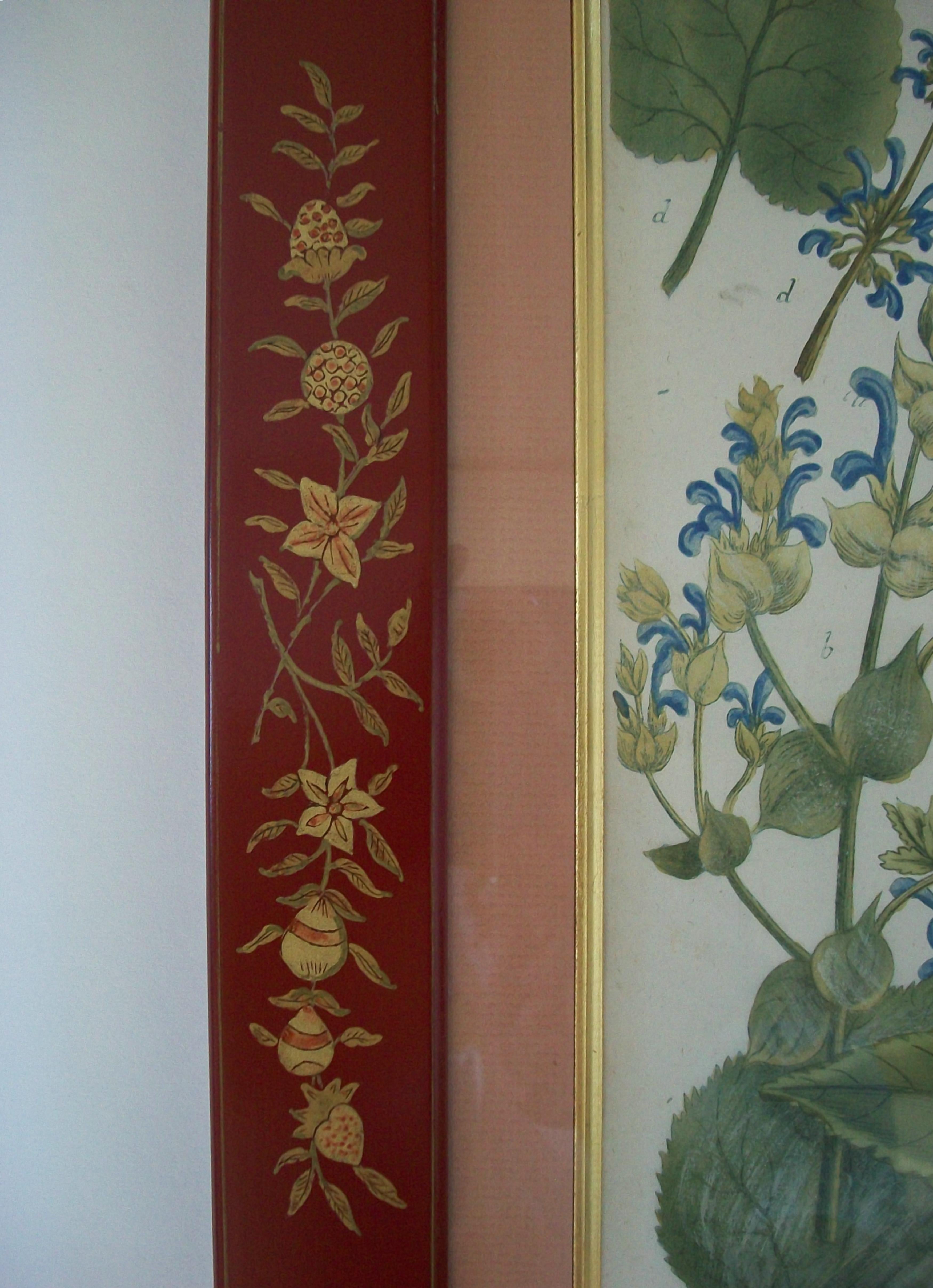 JOHANN WEINMANN - Sechs handkolorierte botanische Stiche - Deutschland - ca. 1737-1745 im Angebot 4