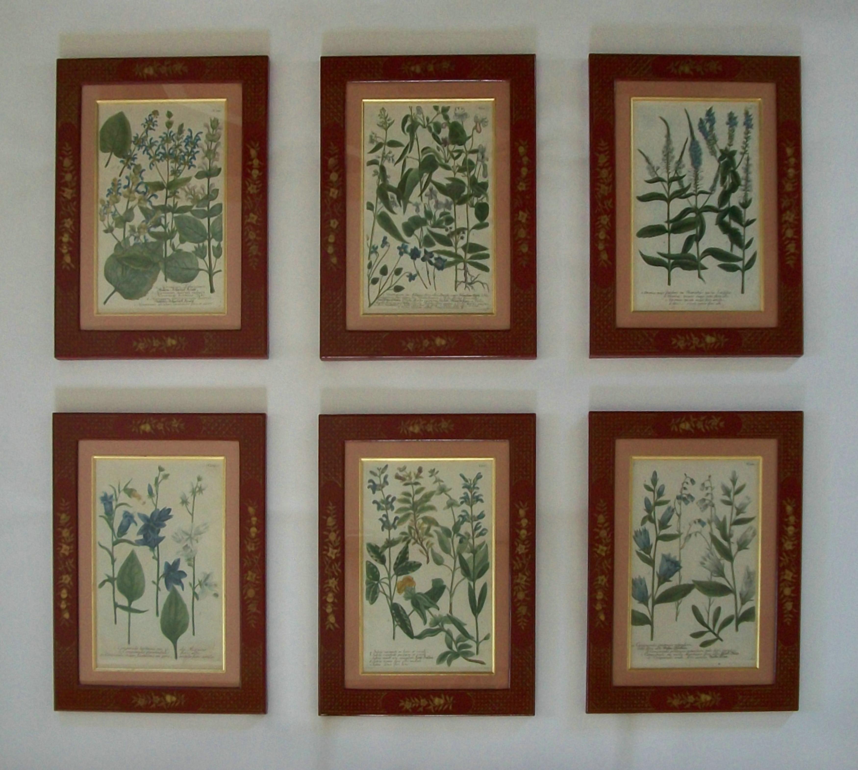 JOHANN WEINMANN - Sechs handkolorierte botanische Stiche - Deutschland - ca. 1737-1745 (Georgian) im Angebot