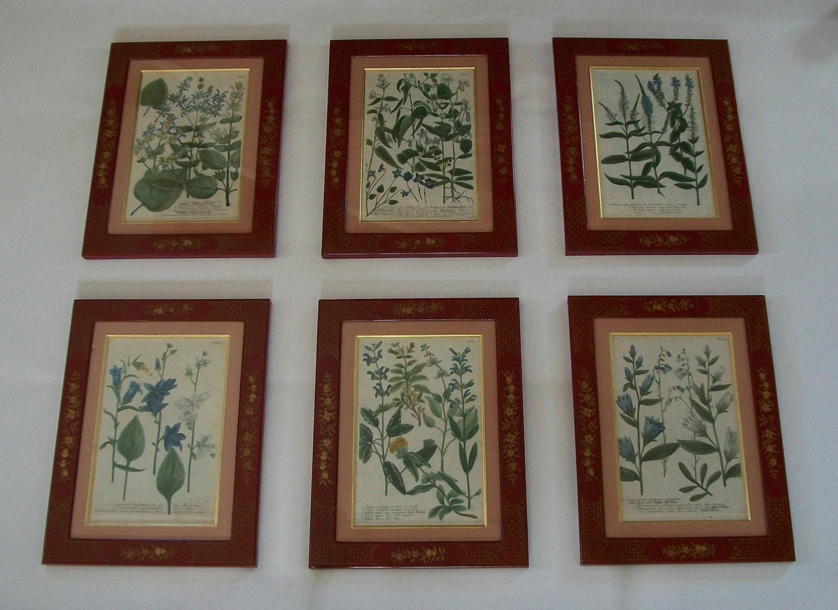 JOHANN WEINMANN - Sechs handkolorierte botanische Stiche - Deutschland - ca. 1737-1745 (Vergoldet) im Angebot