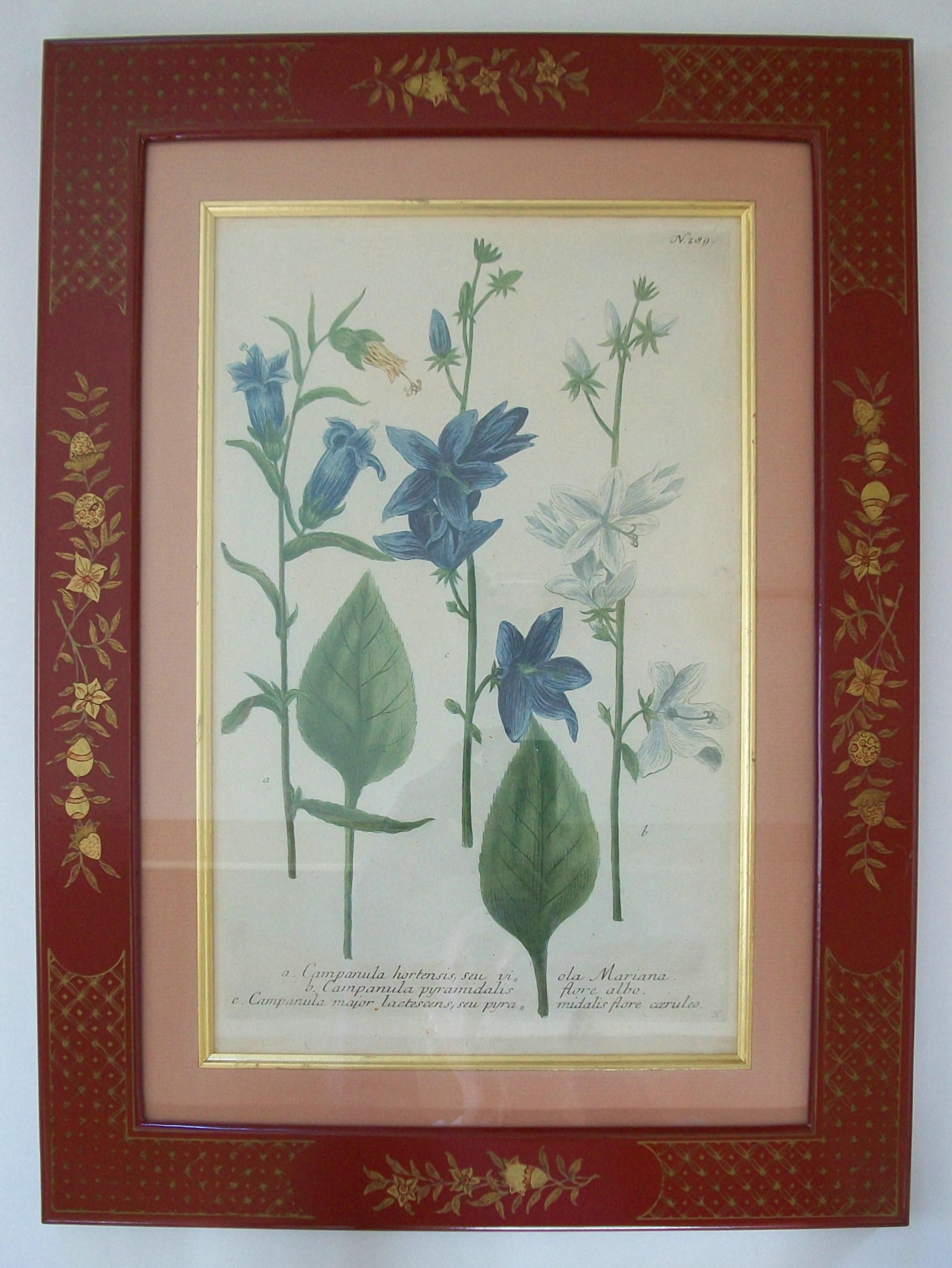 JOHANN WEINMANN - Sechs handkolorierte botanische Stiche - Deutschland - ca. 1737-1745 im Zustand „Gut“ im Angebot in Chatham, ON
