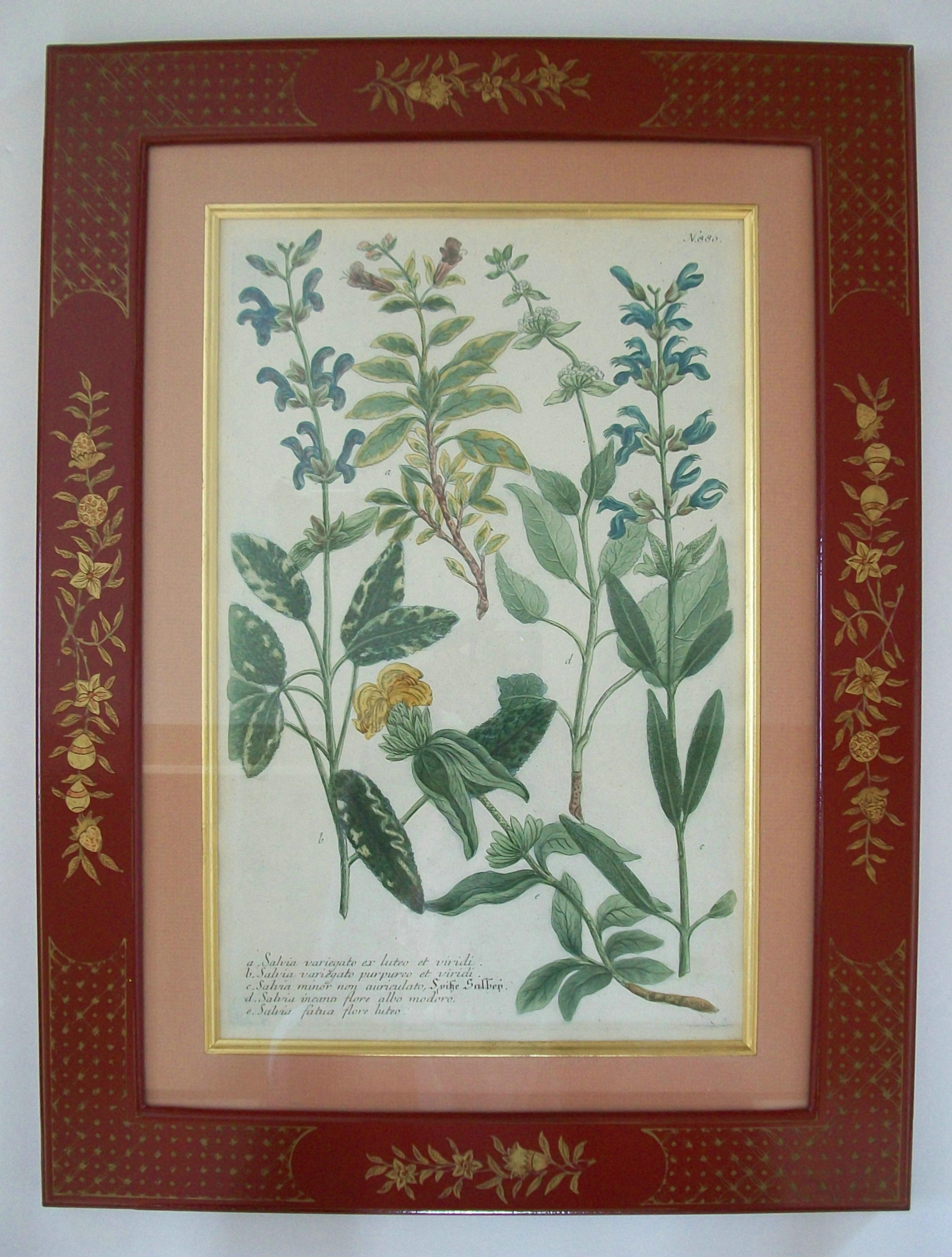 JOHANN WEINMANN - Sechs handkolorierte botanische Stiche - Deutschland - ca. 1737-1745 (18. Jahrhundert) im Angebot