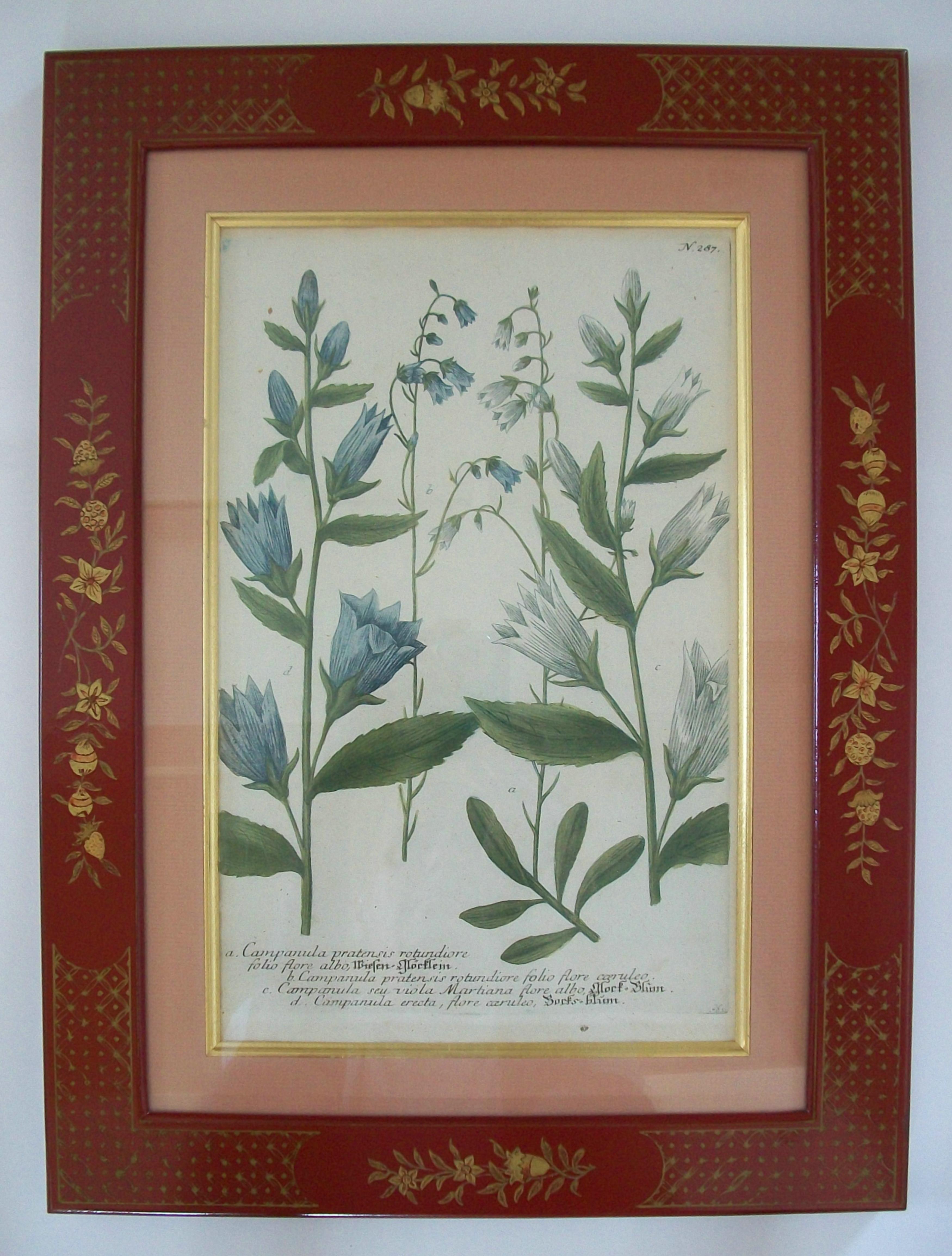 JOHANN WEINMANN - Sechs handkolorierte botanische Stiche - Deutschland - ca. 1737-1745 (Holz) im Angebot