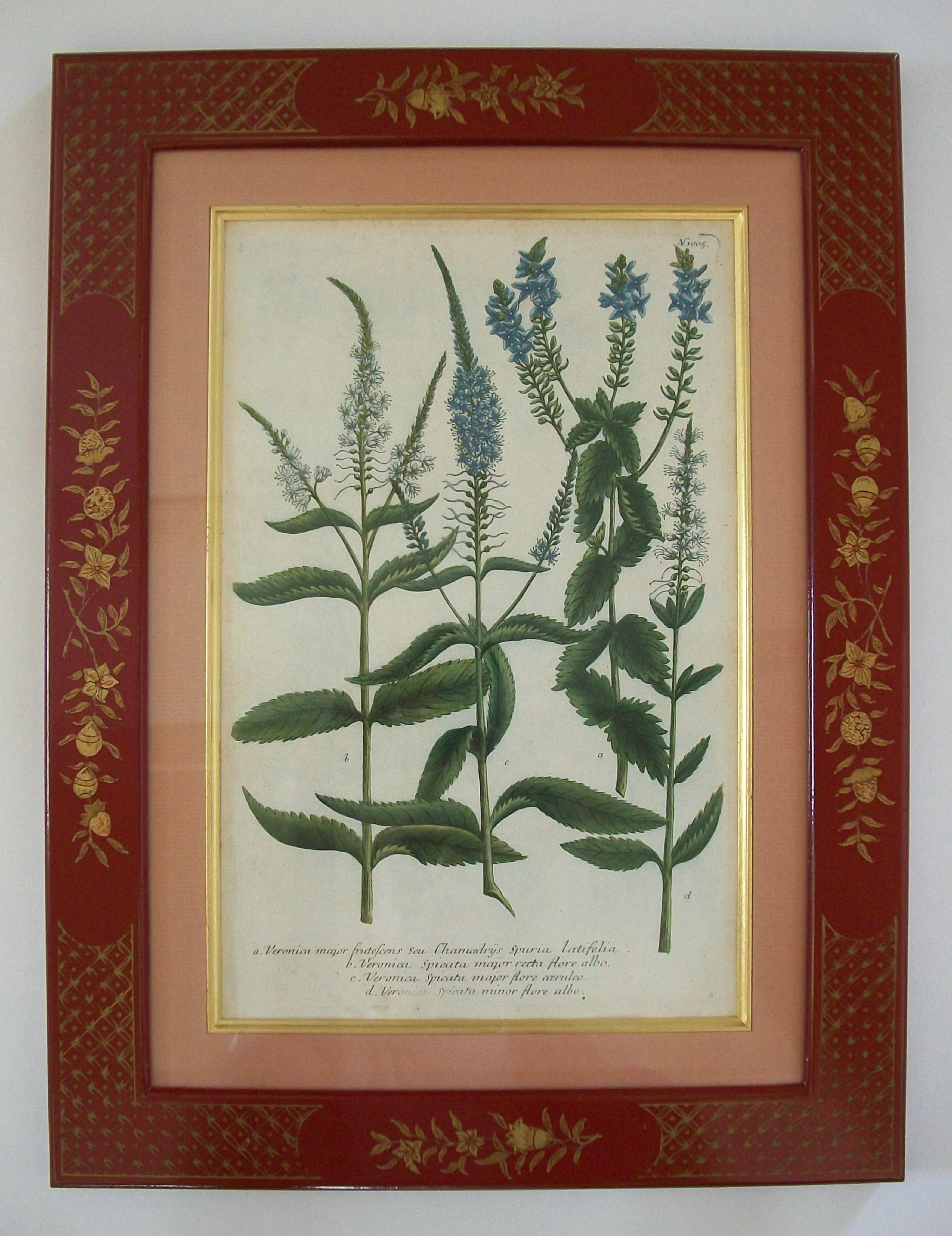 JOHANN WEINMANN - Sechs handkolorierte botanische Stiche - Deutschland - ca. 1737-1745 im Angebot 1