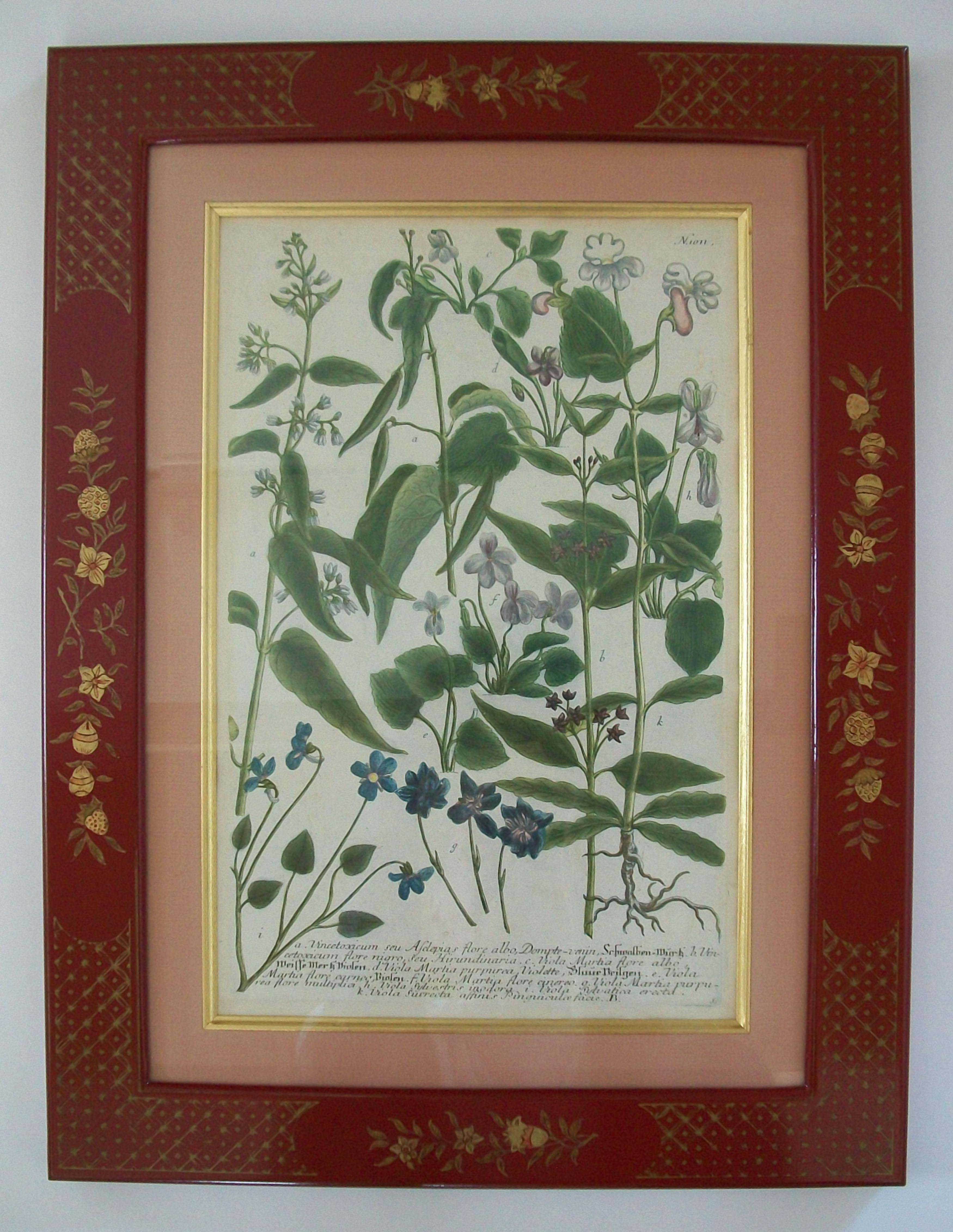 JOHANN WEINMANN - Sechs handkolorierte botanische Stiche - Deutschland - ca. 1737-1745 im Angebot 2