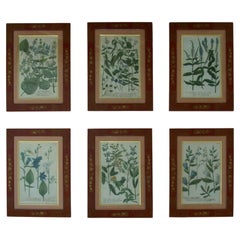 Prints
