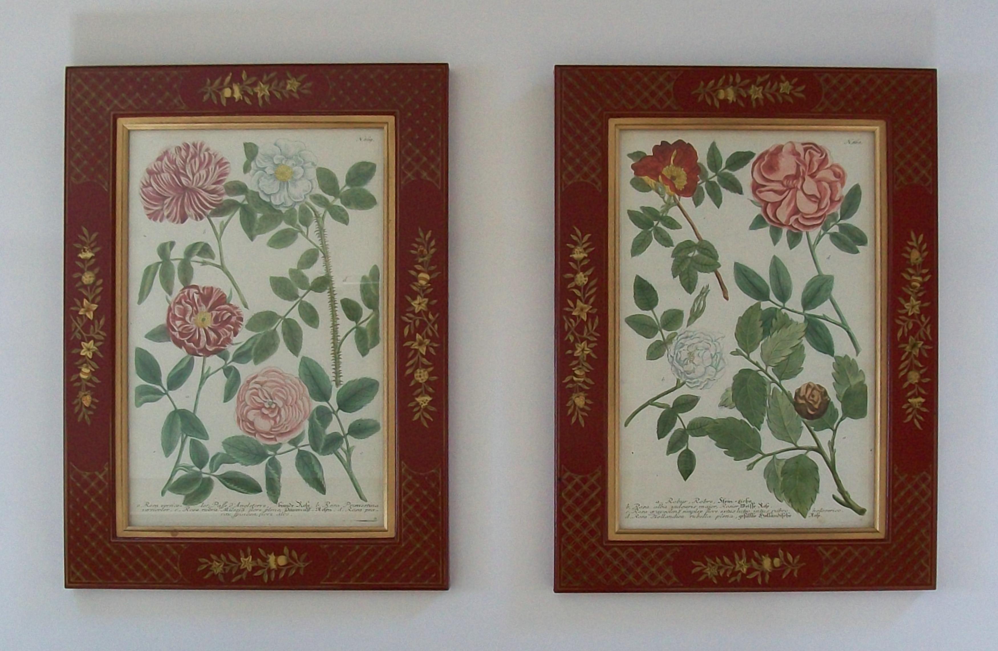 JOHANN WEINMANN - Zwei handkolorierte botanische Stiche - Deutschland - ca. 1737-1745 (Georgian) im Angebot