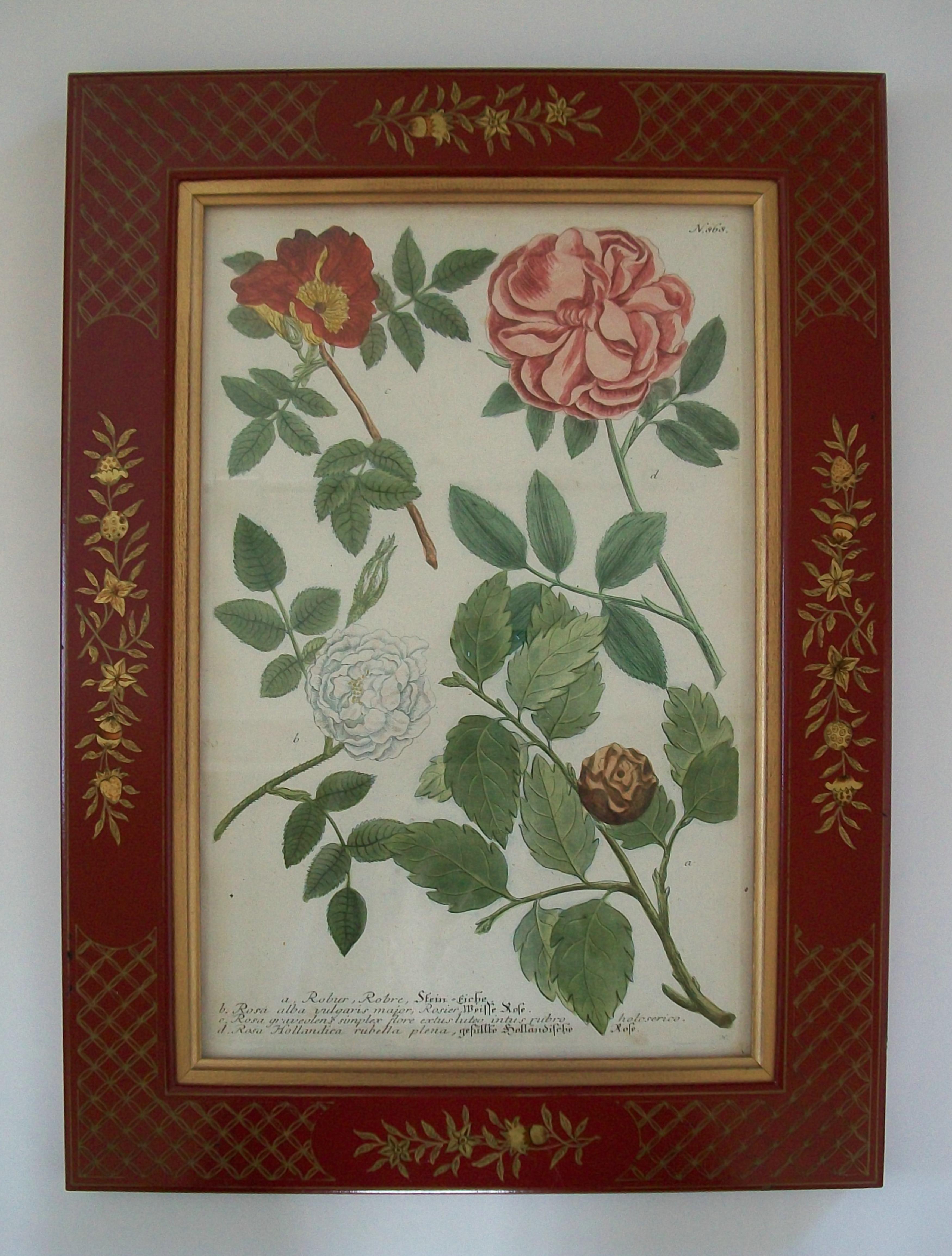 JOHANN WEINMANN - Zwei handkolorierte botanische Stiche - Deutschland - ca. 1737-1745 (Handgefertigt) im Angebot