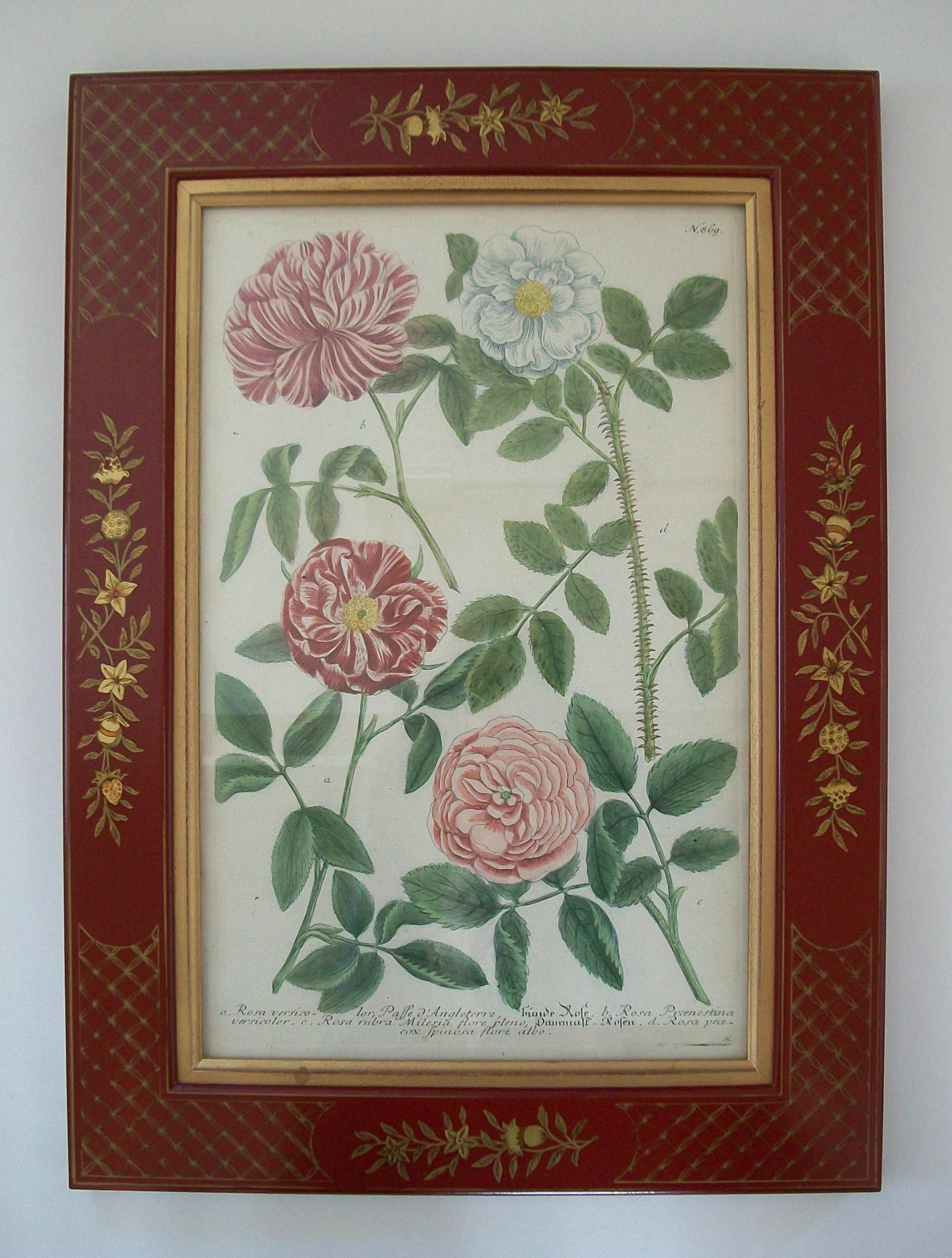 JOHANN WEINMANN - Zwei handkolorierte botanische Stiche - Deutschland - ca. 1737-1745 im Zustand „Gut“ im Angebot in Chatham, ON