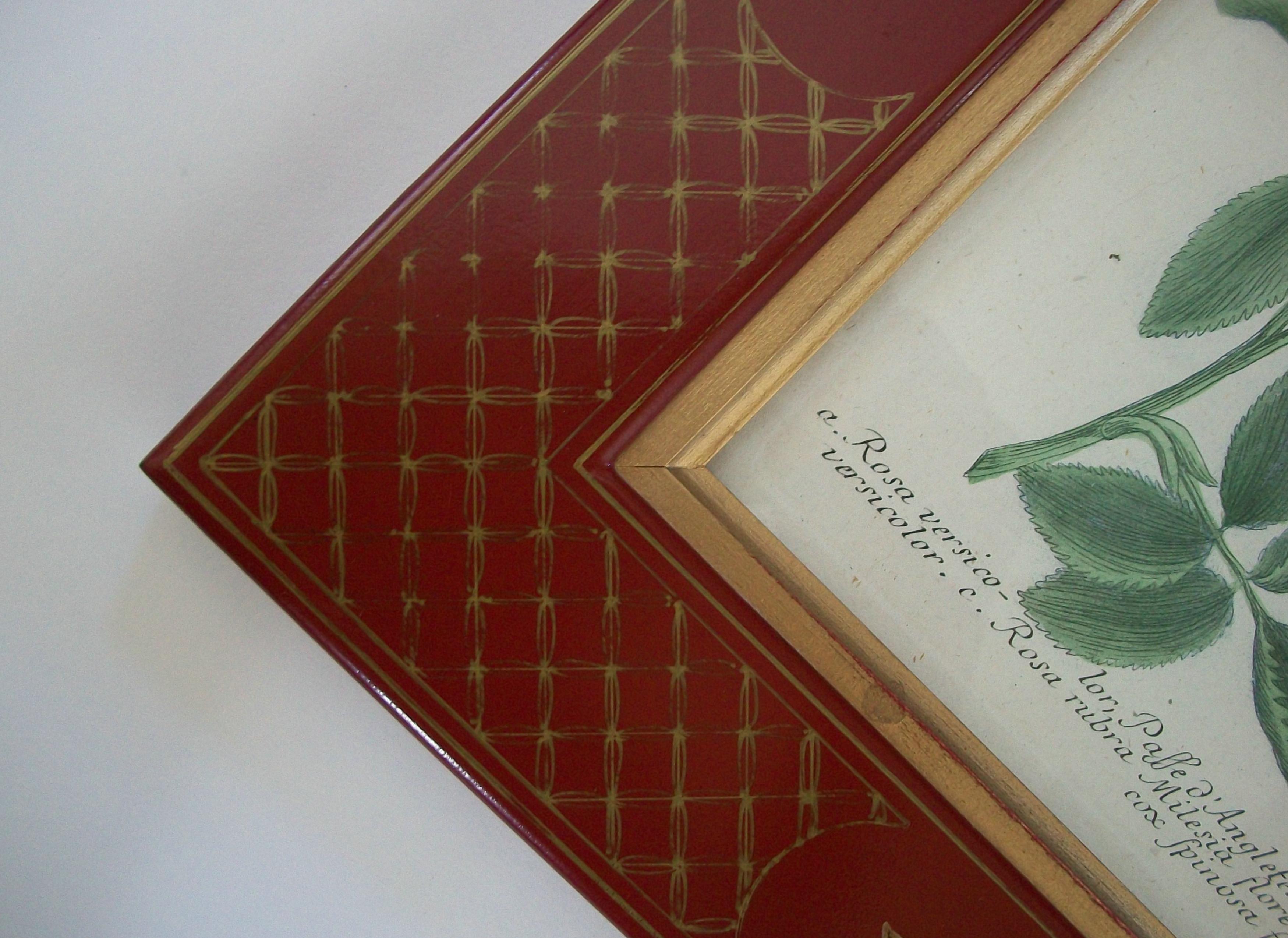 JOHANN WEINMANN - Zwei handkolorierte botanische Stiche - Deutschland - ca. 1737-1745 (Holz) im Angebot