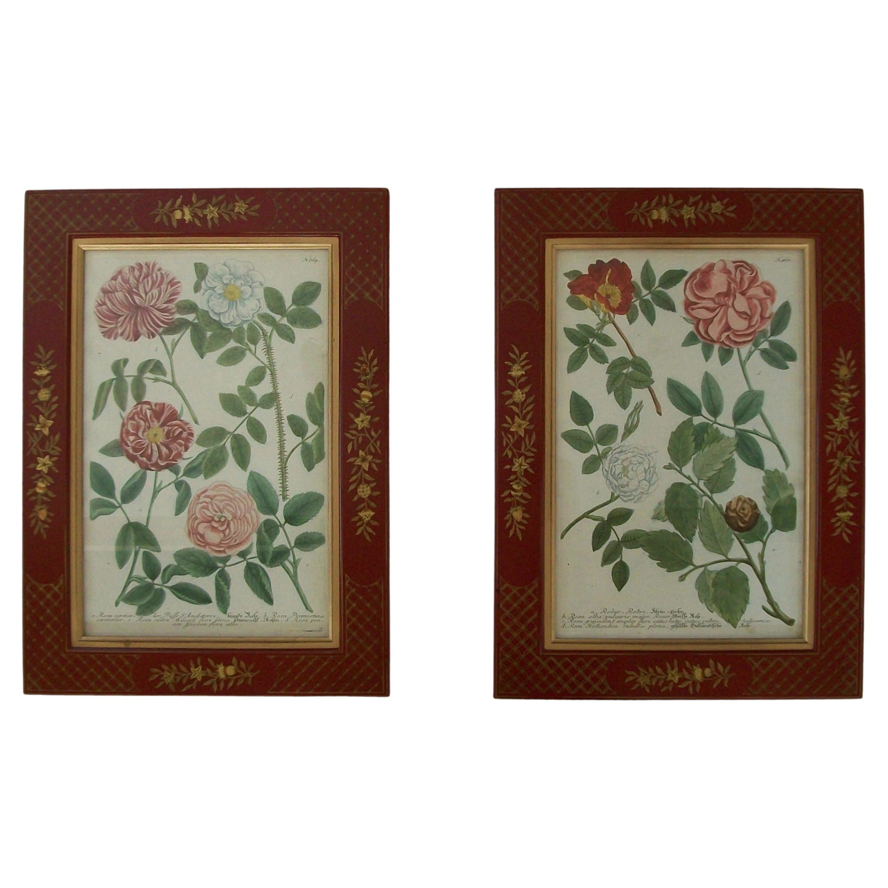 JOHANN WEINMANN - Zwei handkolorierte botanische Stiche - Deutschland - ca. 1737-1745