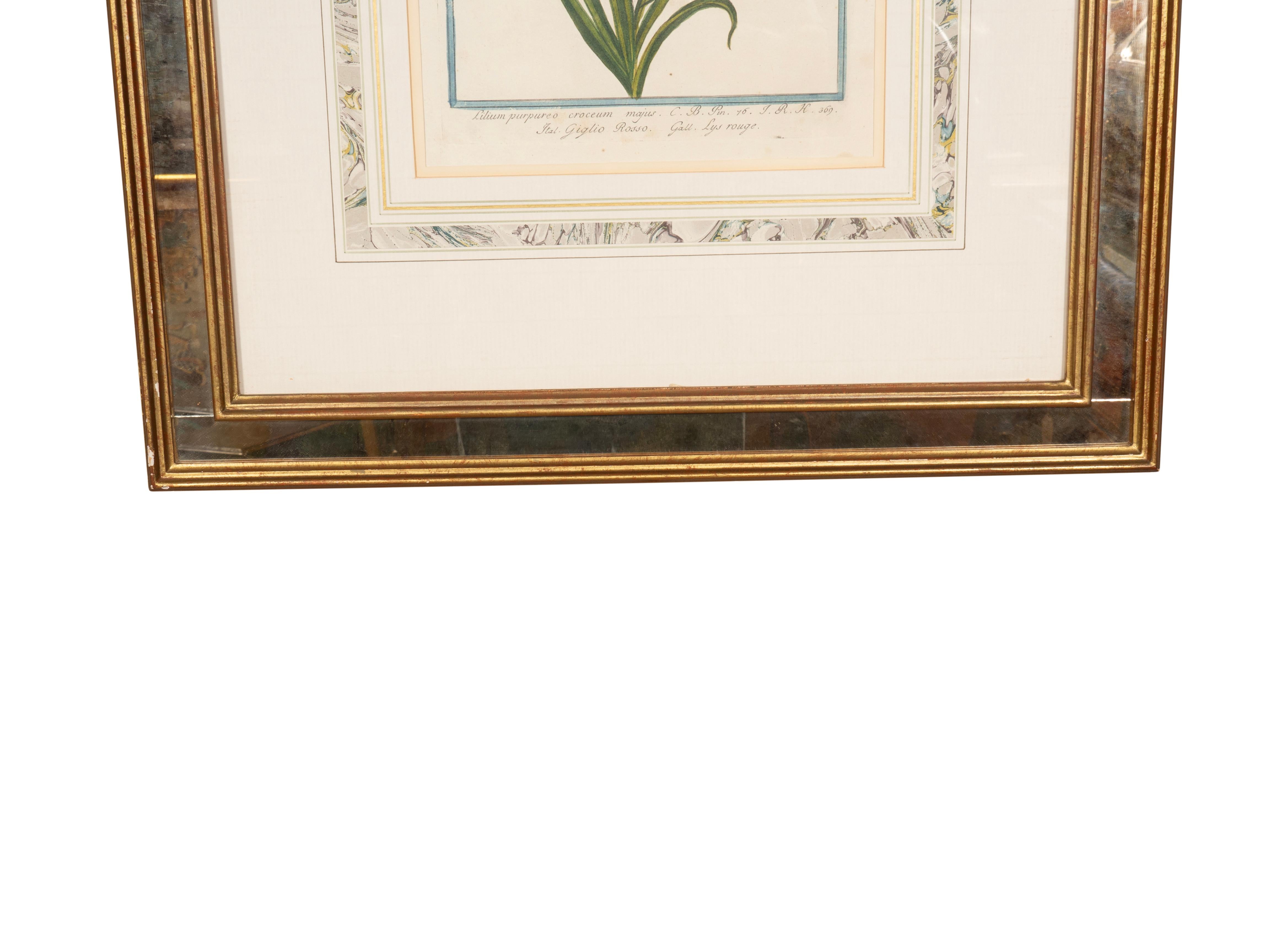 Johann Wilhelm Weinmann Gerahmtes Paar botanischer Drucke, gerahmt im Angebot 5