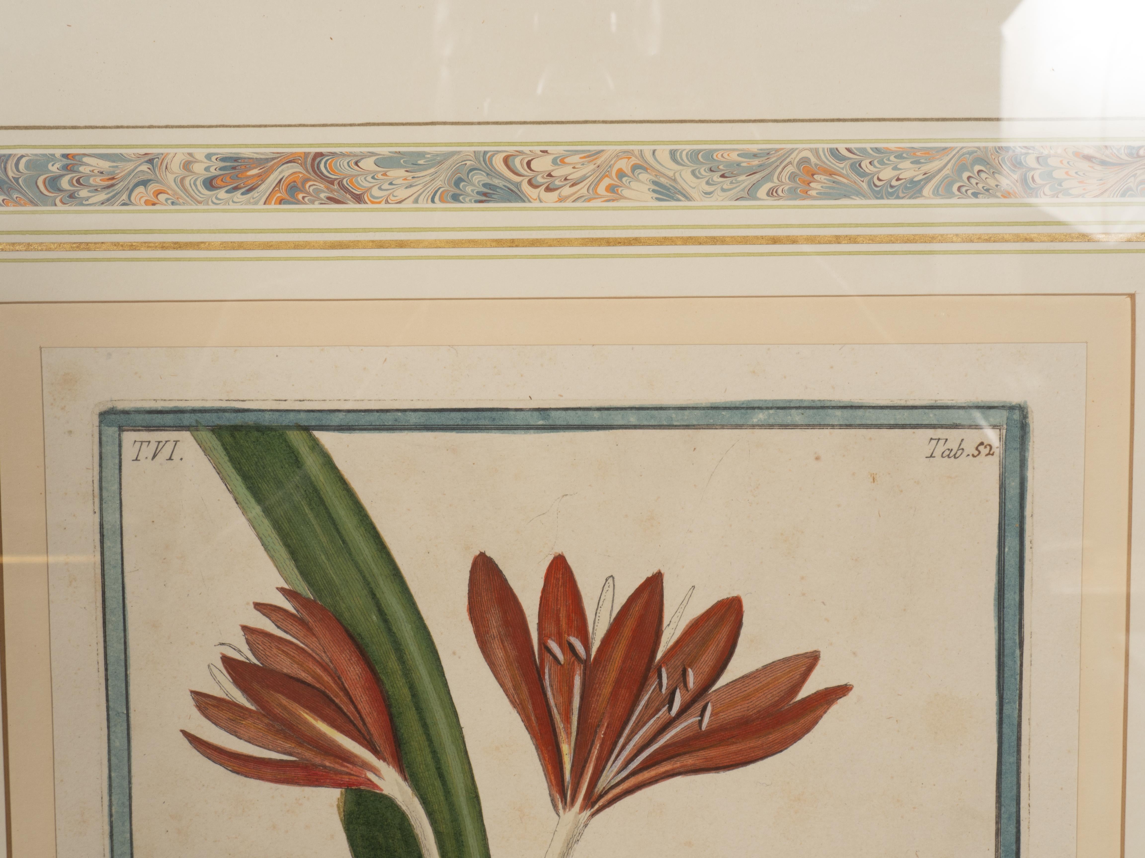 Johann Wilhelm Weinmann Gerahmtes Paar botanischer Drucke, gerahmt im Angebot 10
