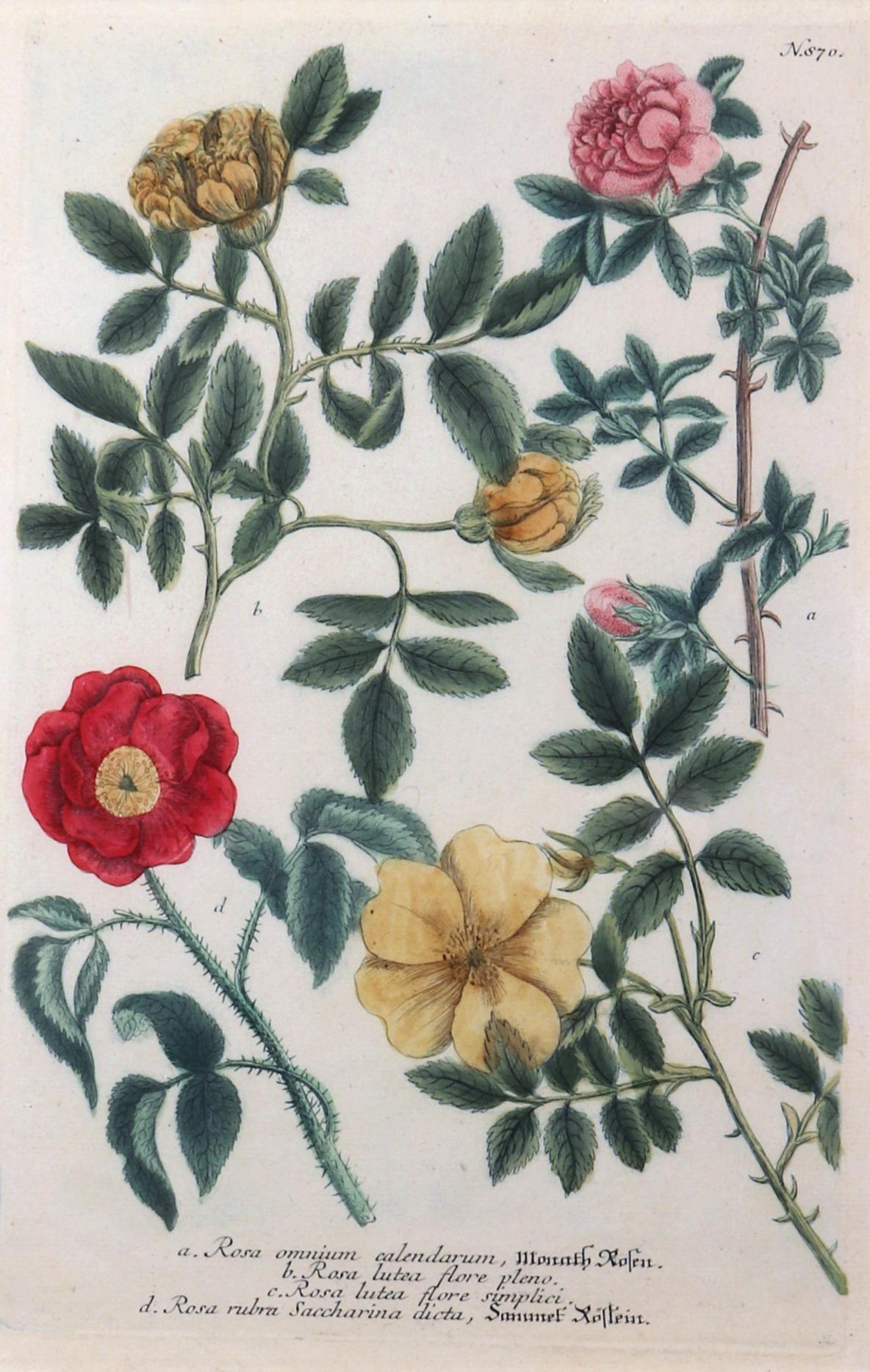 German Johann Wilhelm Weinmann Print of Roses with Decoupage Frame For Sale