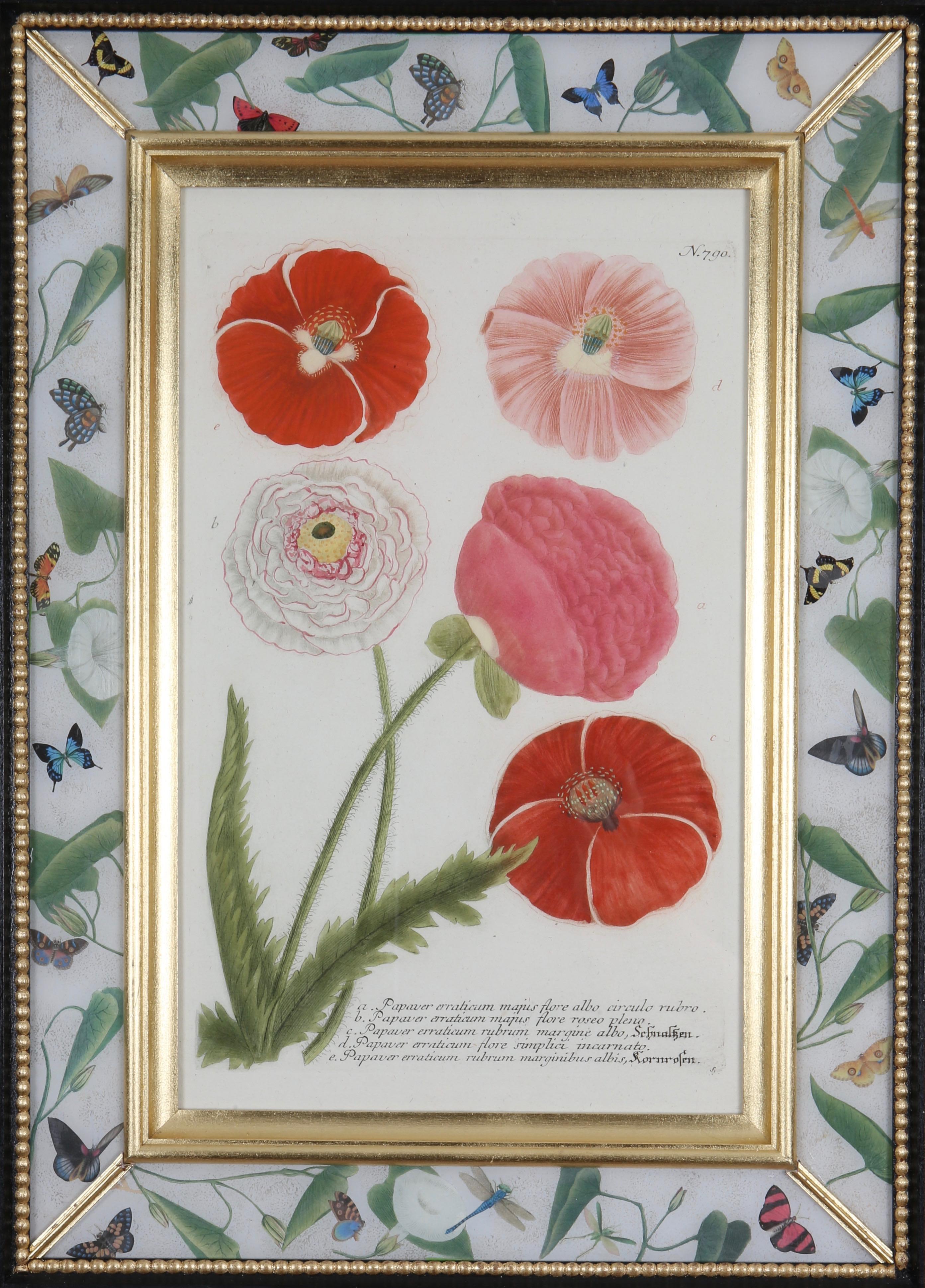 18th century botanical engravings in decalcomania frames, set of twelve. - Print by Johann Wilhelm Weinmann