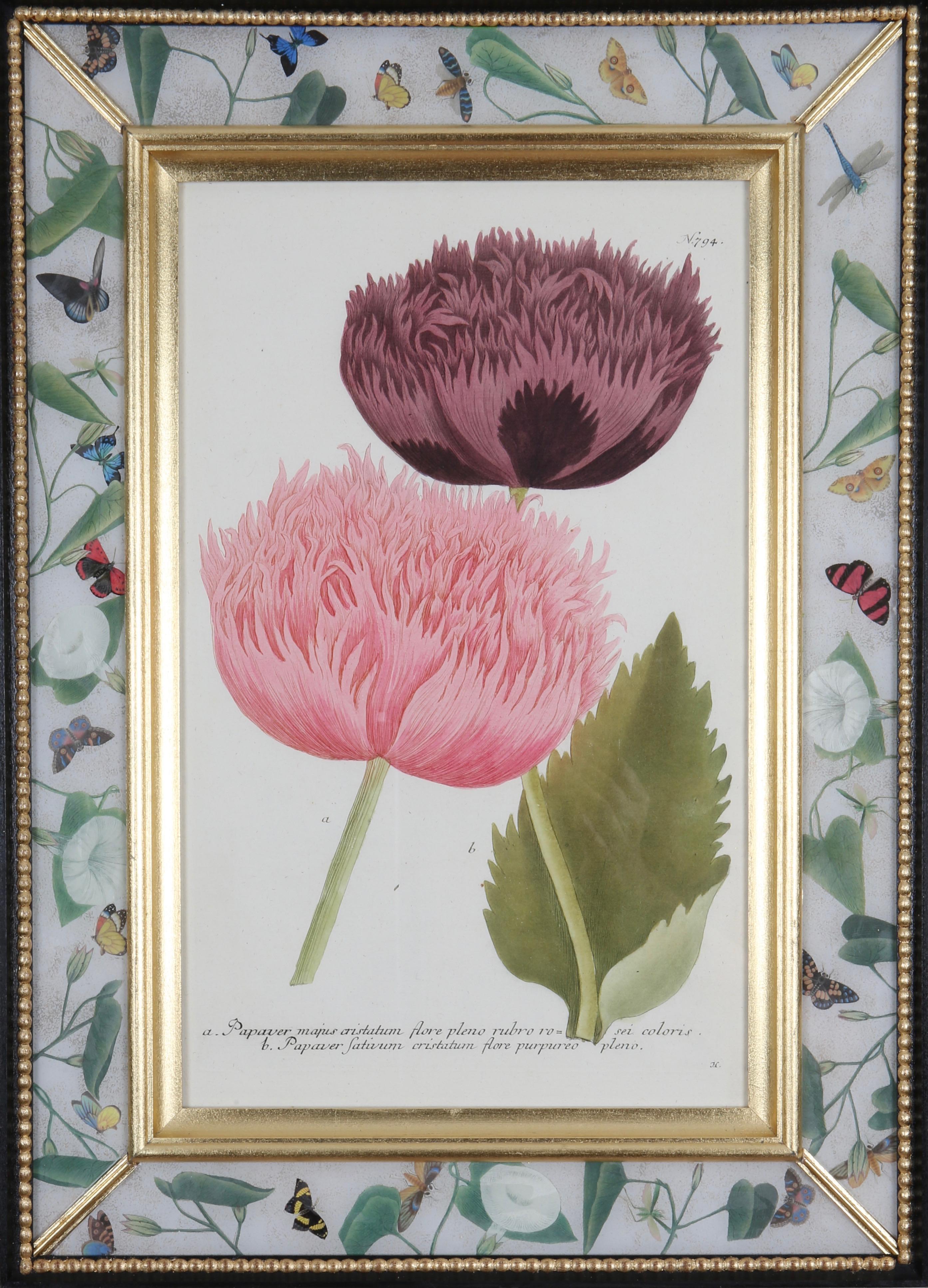18th century botanical engravings in decalcomania frames, set of twelve. - Gray Figurative Print by Johann Wilhelm Weinmann
