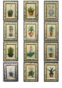 Aloes and decorative urns