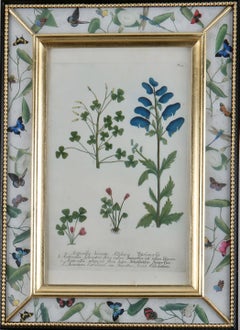Antique Framed eighteenth century botanical engraving in a decalcomania frame.