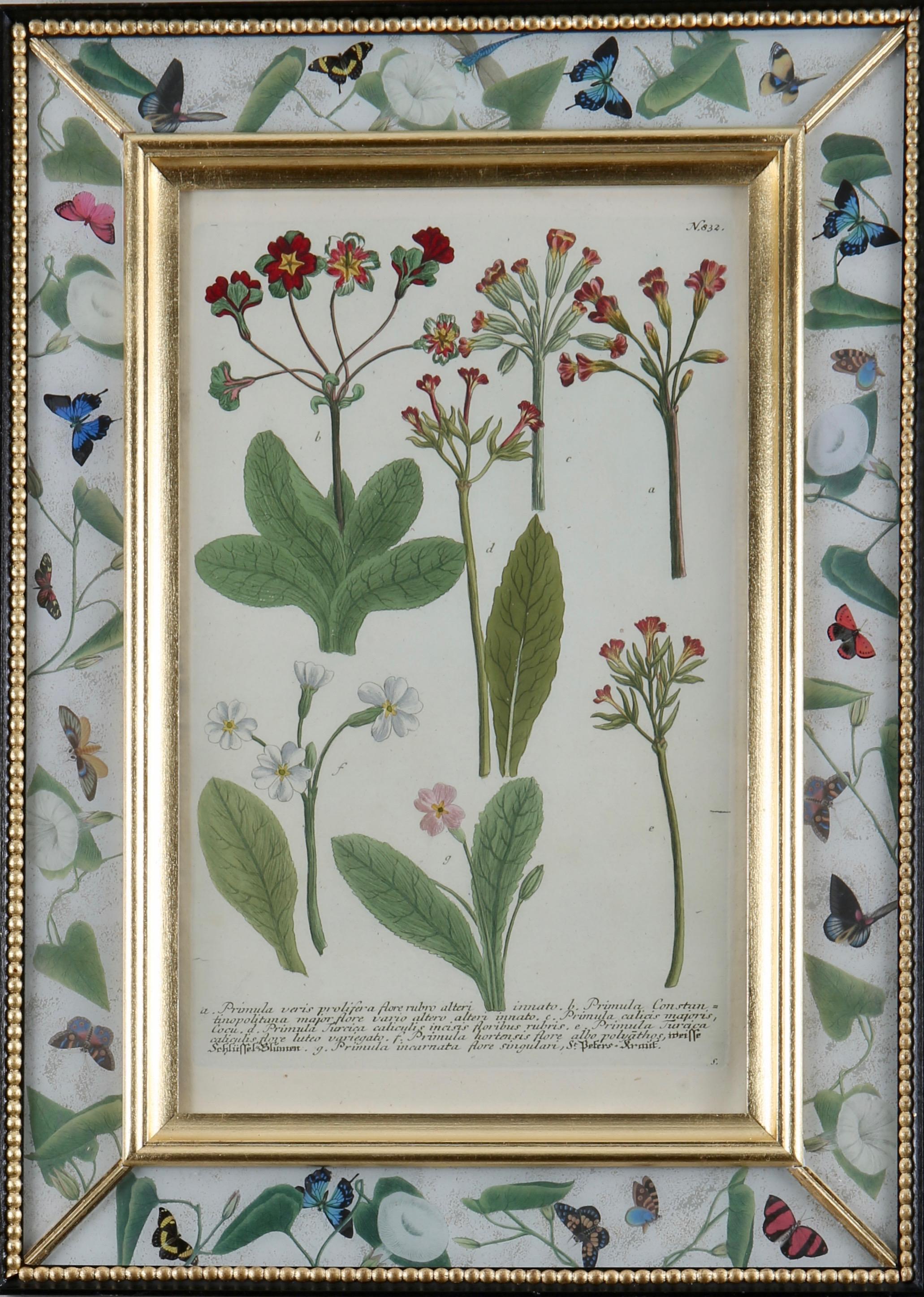 Etchings & Engravings Price for 1 French Antique Botanical Engravings