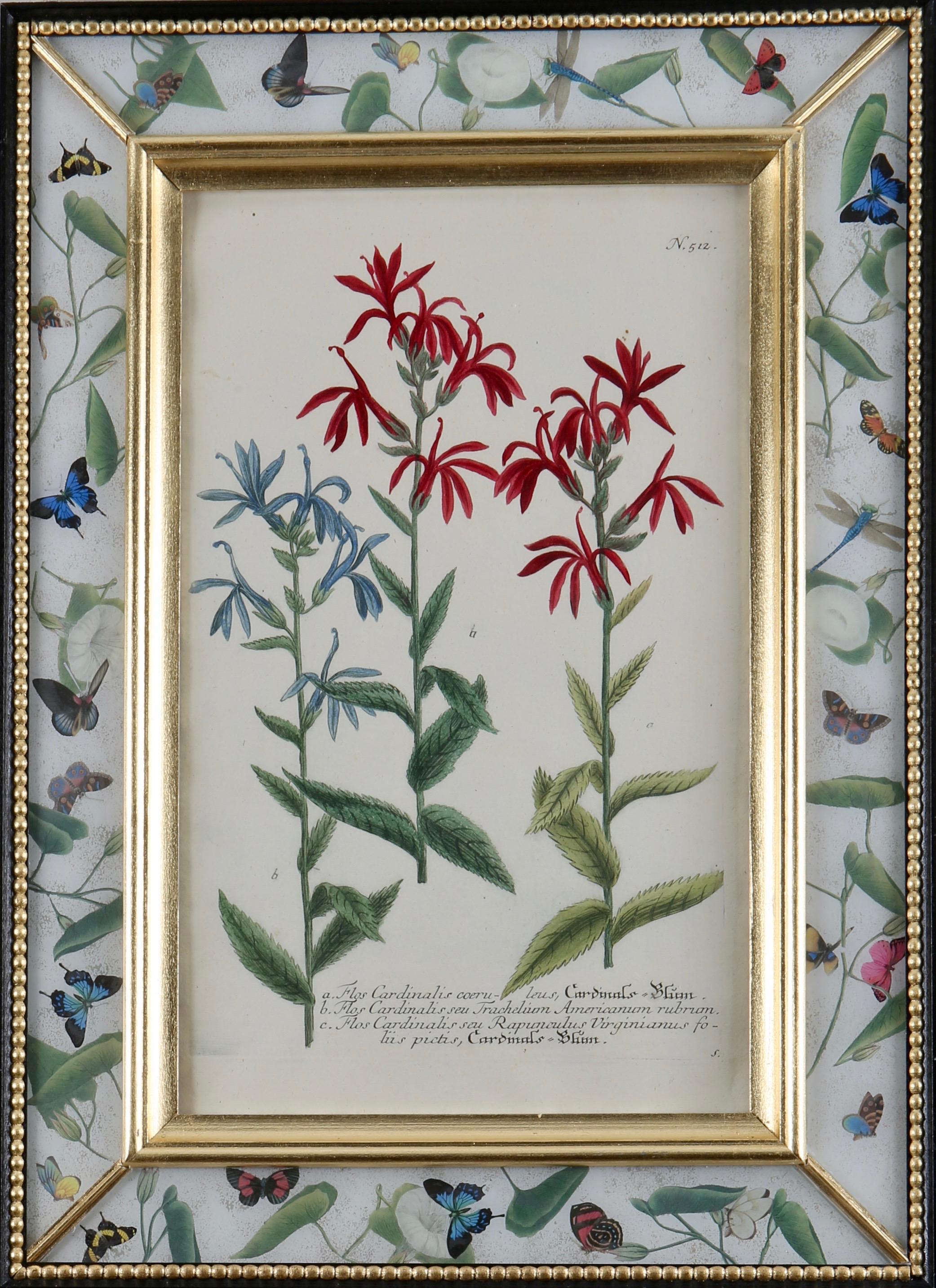 Johann Wilhelm Weinmann Figurative Print - Framed eighteenth century botanical engraving in a decalcomania frame.