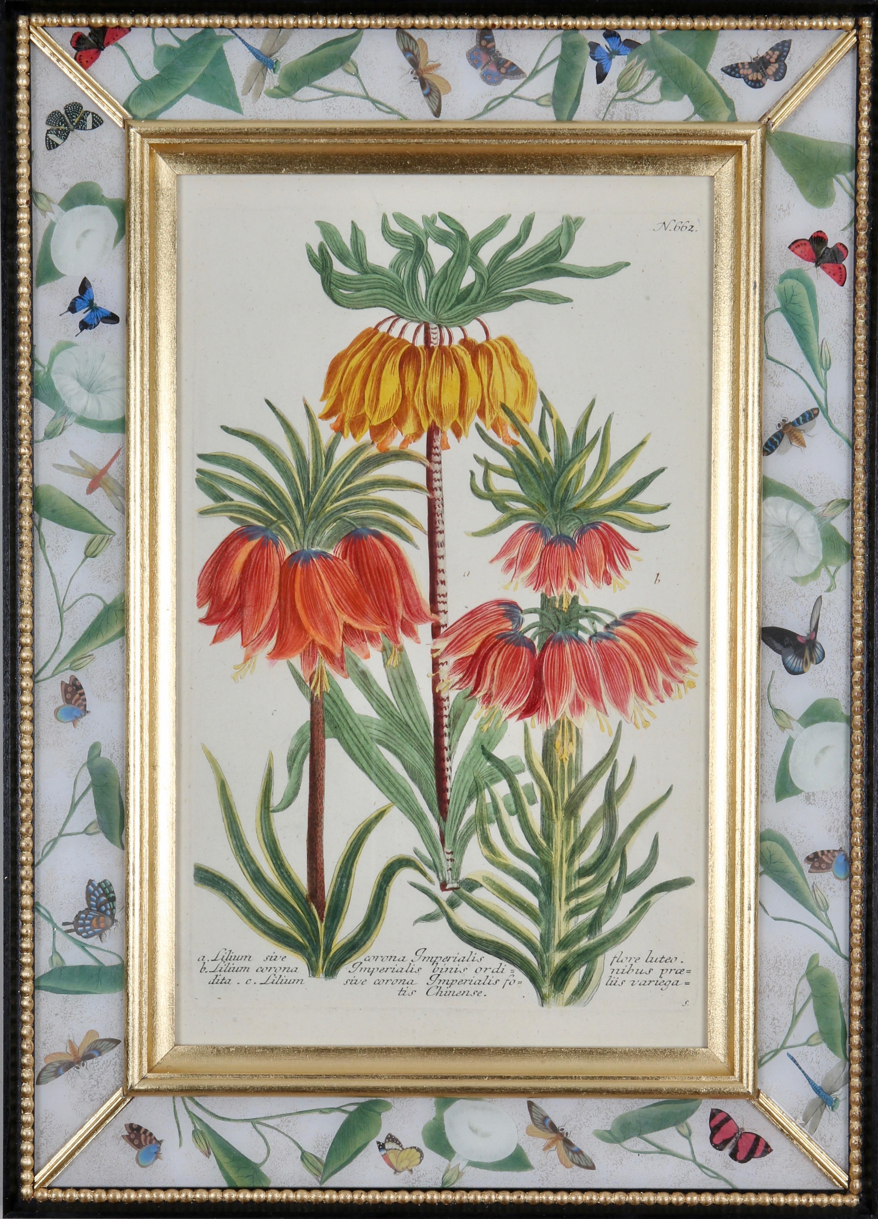Johann Wilhelm Weinmann Figurative Print – Johann Weinmann: Mezzotinta-Stiche in Decalcomania-Rahmen.