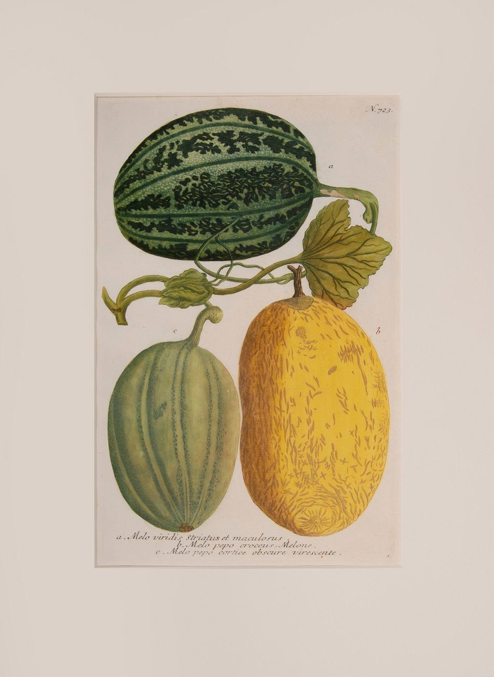 Johann Wilhelm Weinmann Figurative Print - Melons