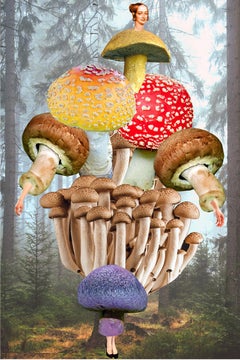 Plate No. 59 - Nature, Landscape, Mushrooms, Portrait, Abstract