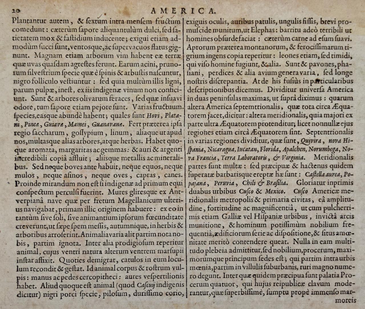 Amérique du Nord et du Sud : Une carte du 17e siècle colorée à la main par Jansson & Goos en vente 5