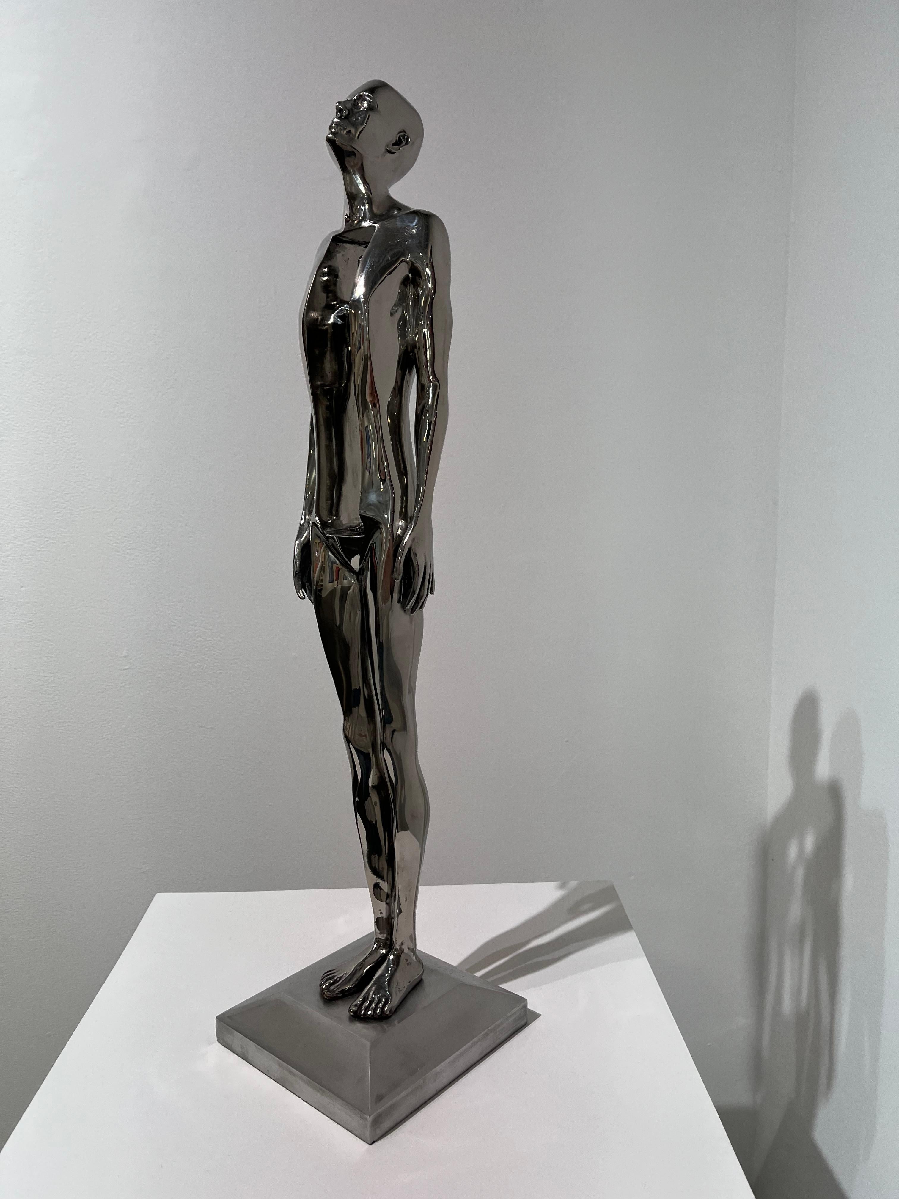 Endless (Stainless Steel) For Sale 1