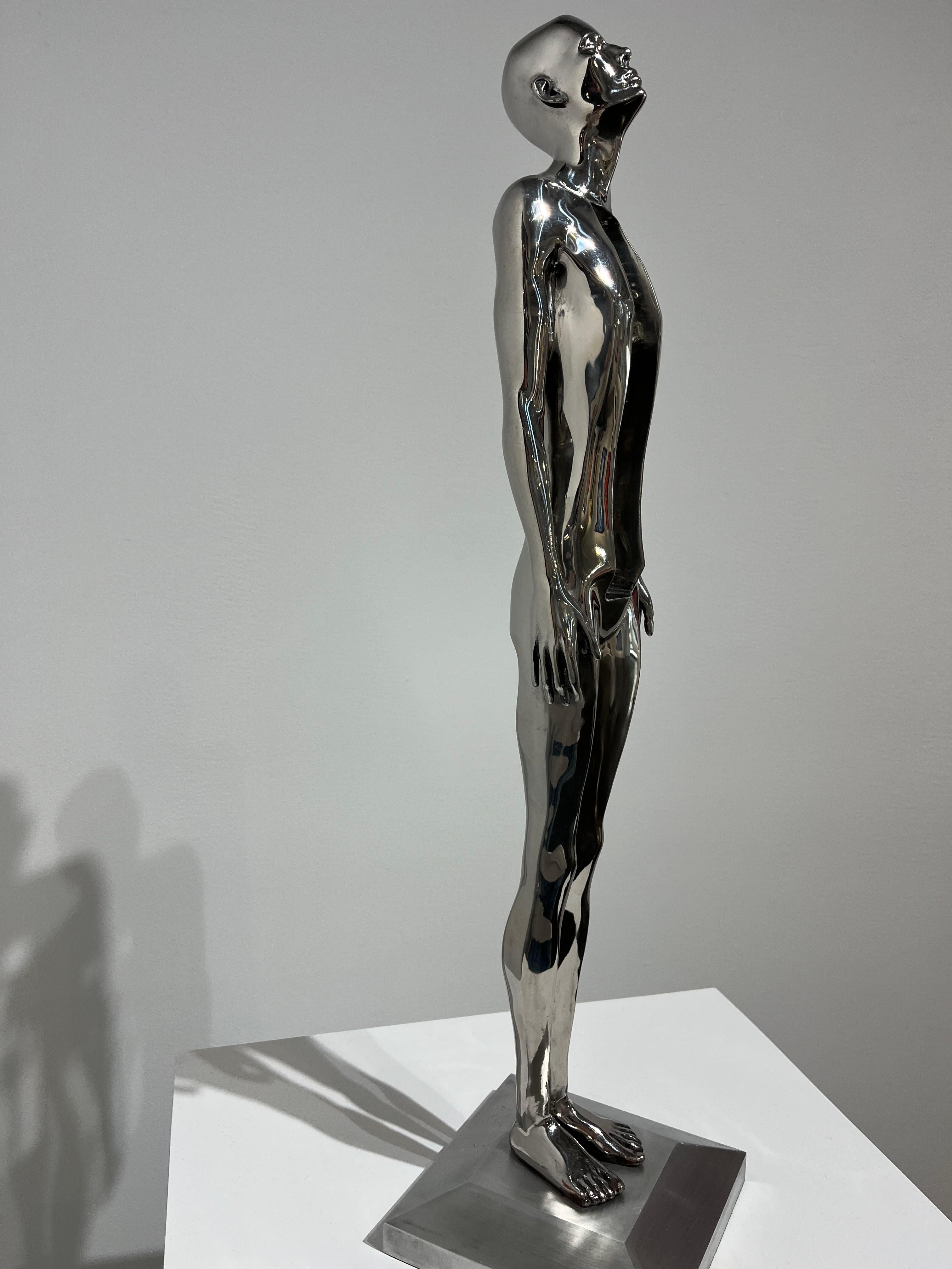 Endless (Stainless Steel) For Sale 2