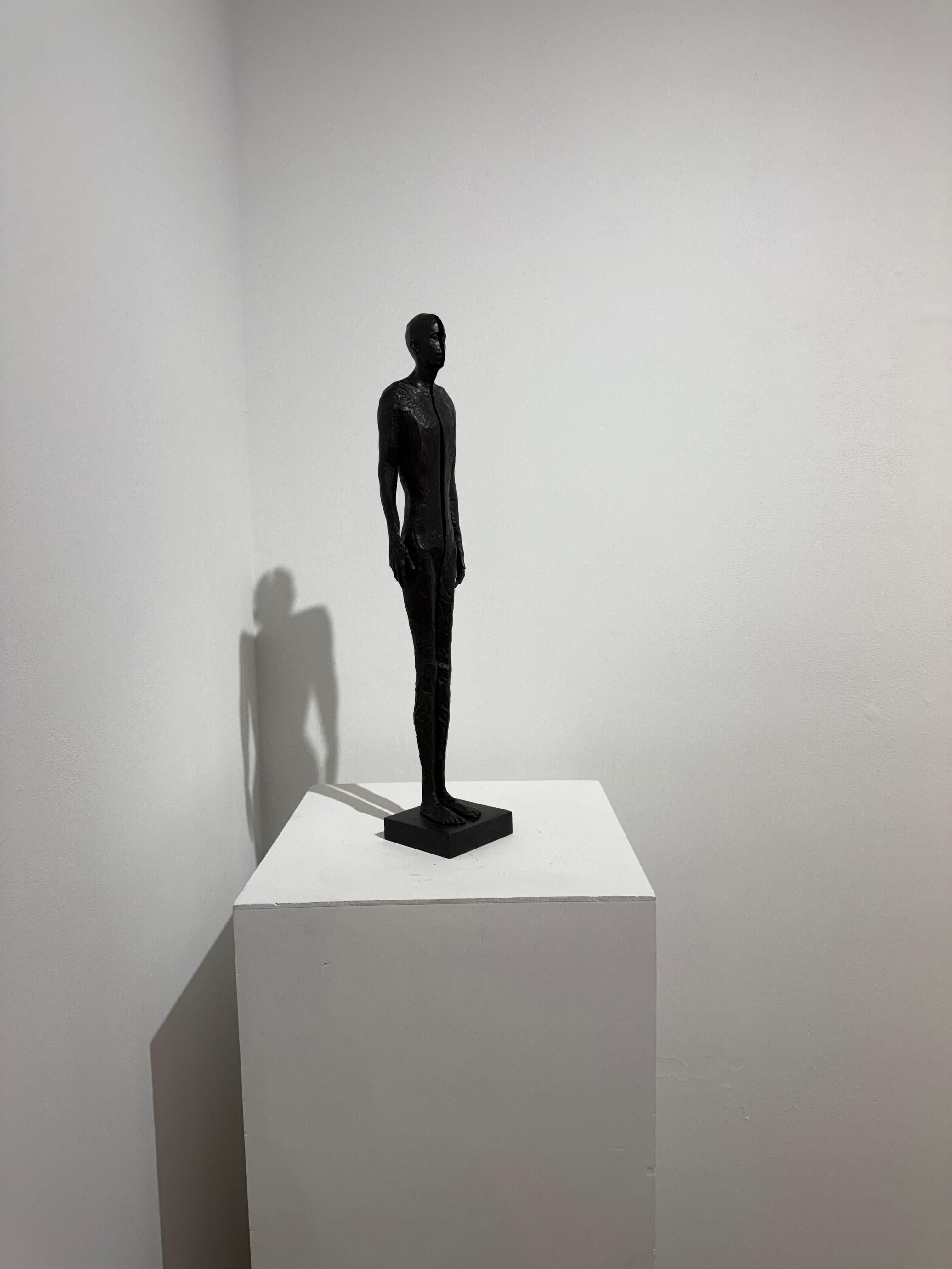 Johannes Nielsen (nato nel 1979) è nato a Falkenberg, in Svezia. Anistics è un artista che utilizza la scultura in bronzo per celebrare la vita e la sua bellezza. An He crede che le sculture del corpo umano possano 