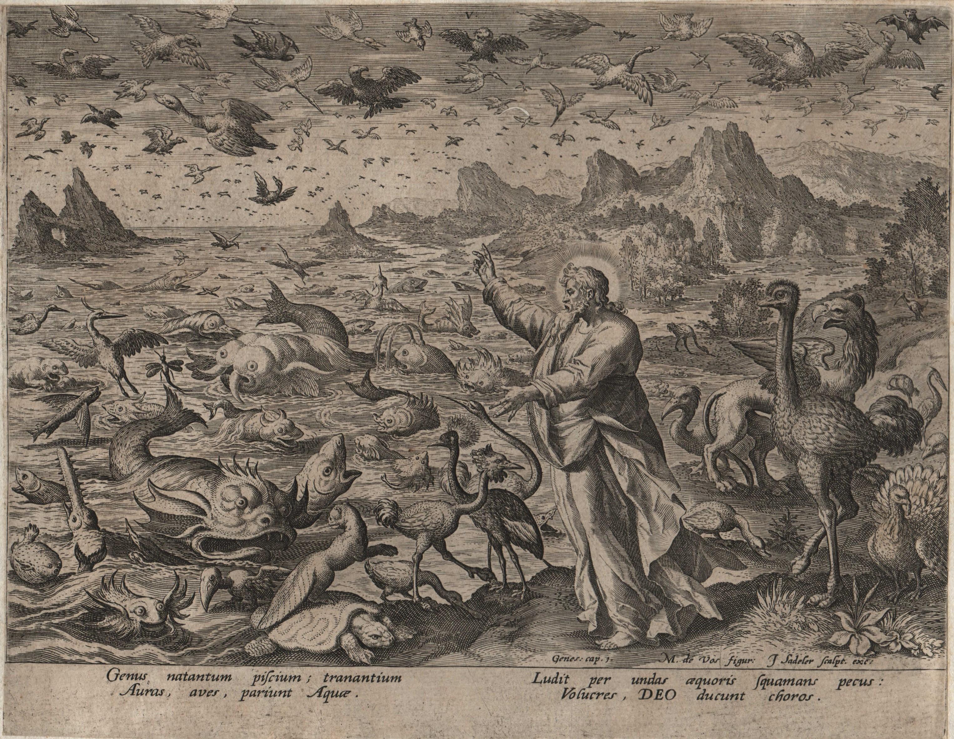 Creation! Birds and Fishes - Framed 1584 Old Master Engraving Religious Bible - Print by Johannes Sadeler I