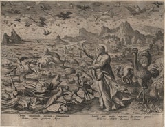 Creation! Birds and Fishes - Framed 1584 Old Master Engraving Religious Bible