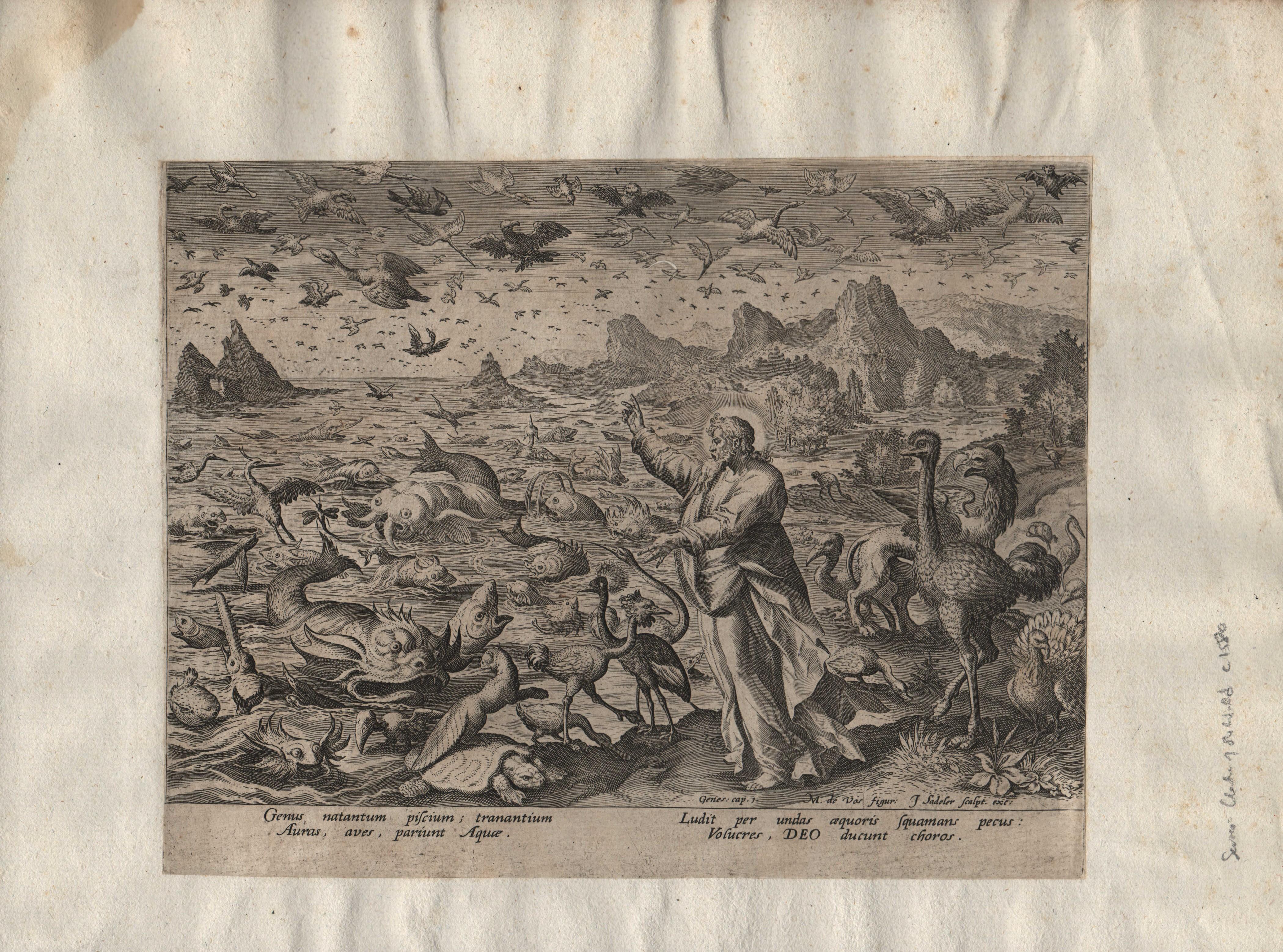 Creation! Birds and Fishes - Framed 1584 Old Master Engraving Religious Bible - Northern Renaissance Print by Johannes Sadeler I