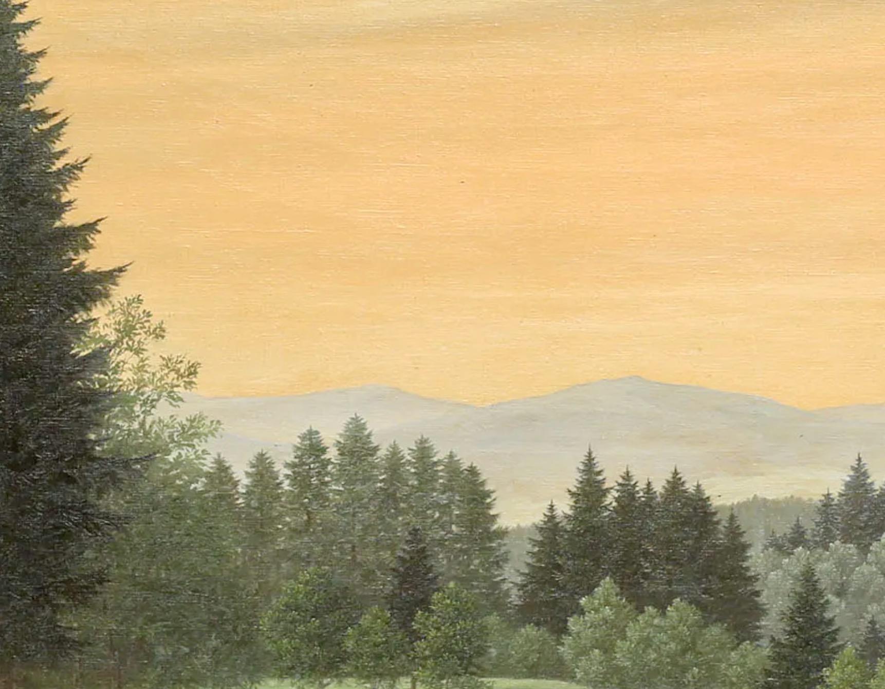 Prato nella Foresta Bavarese in vendita 3