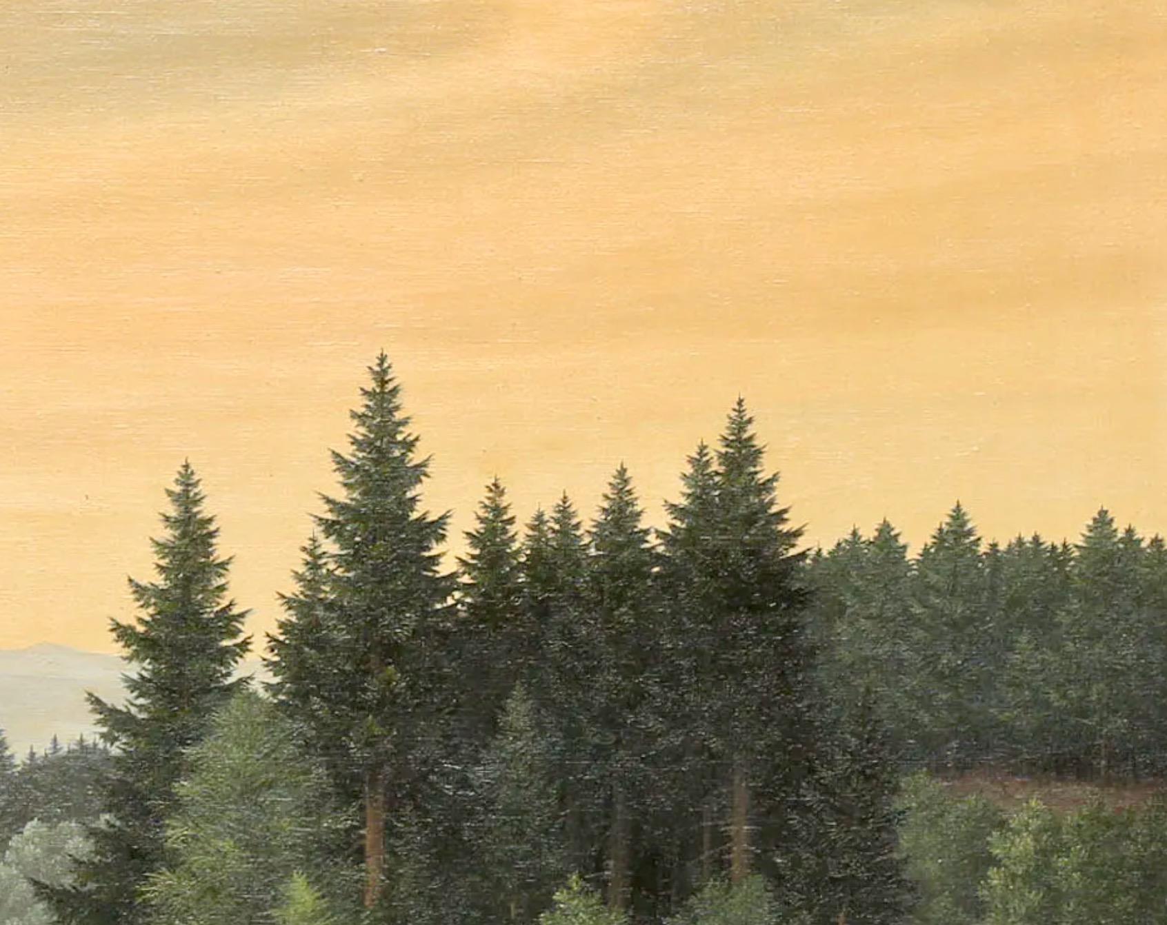 Prato nella Foresta Bavarese in vendita 4
