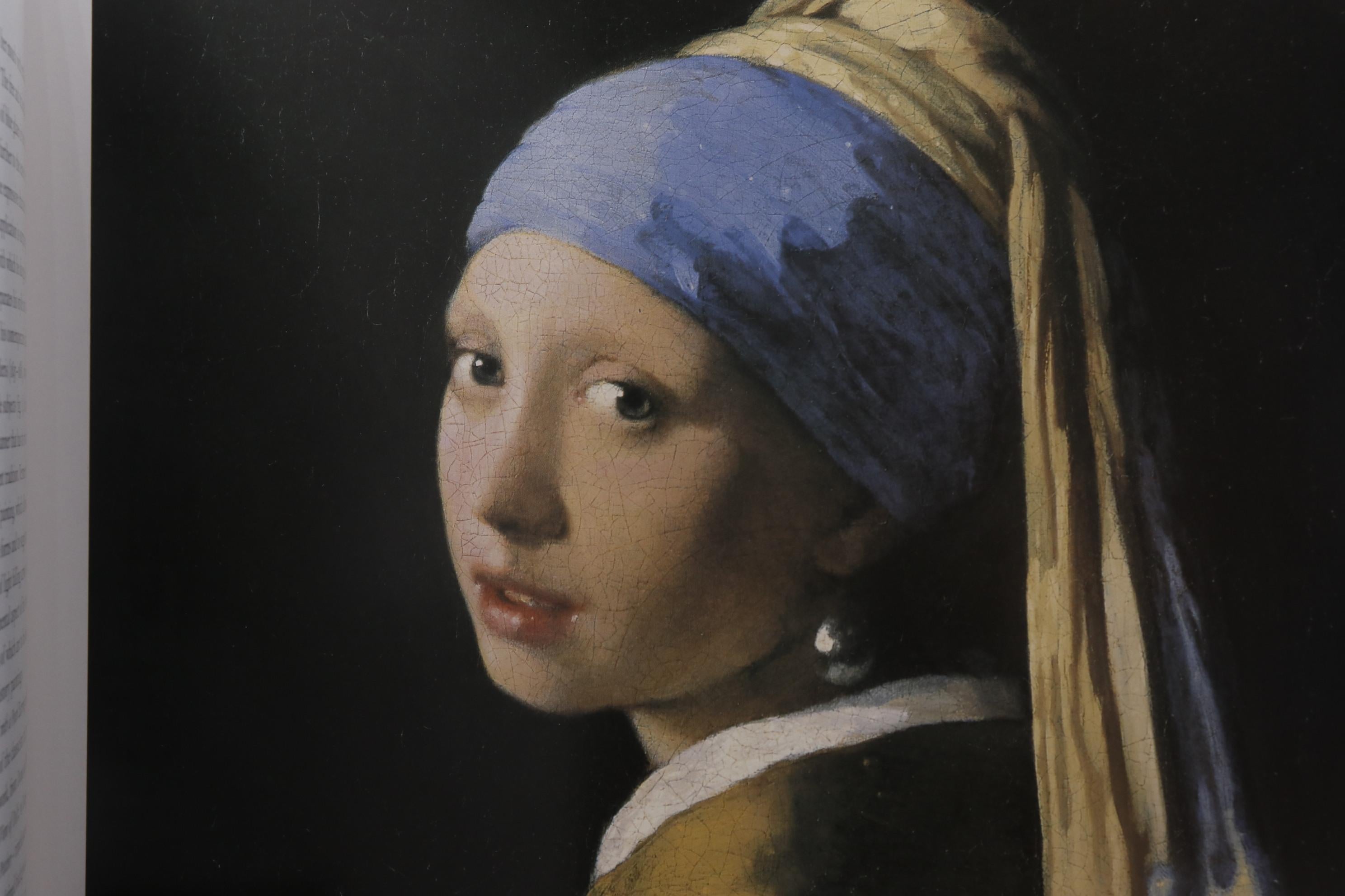 Johannes Vermeer Art Book In Good Condition For Sale In Bradenton, FL